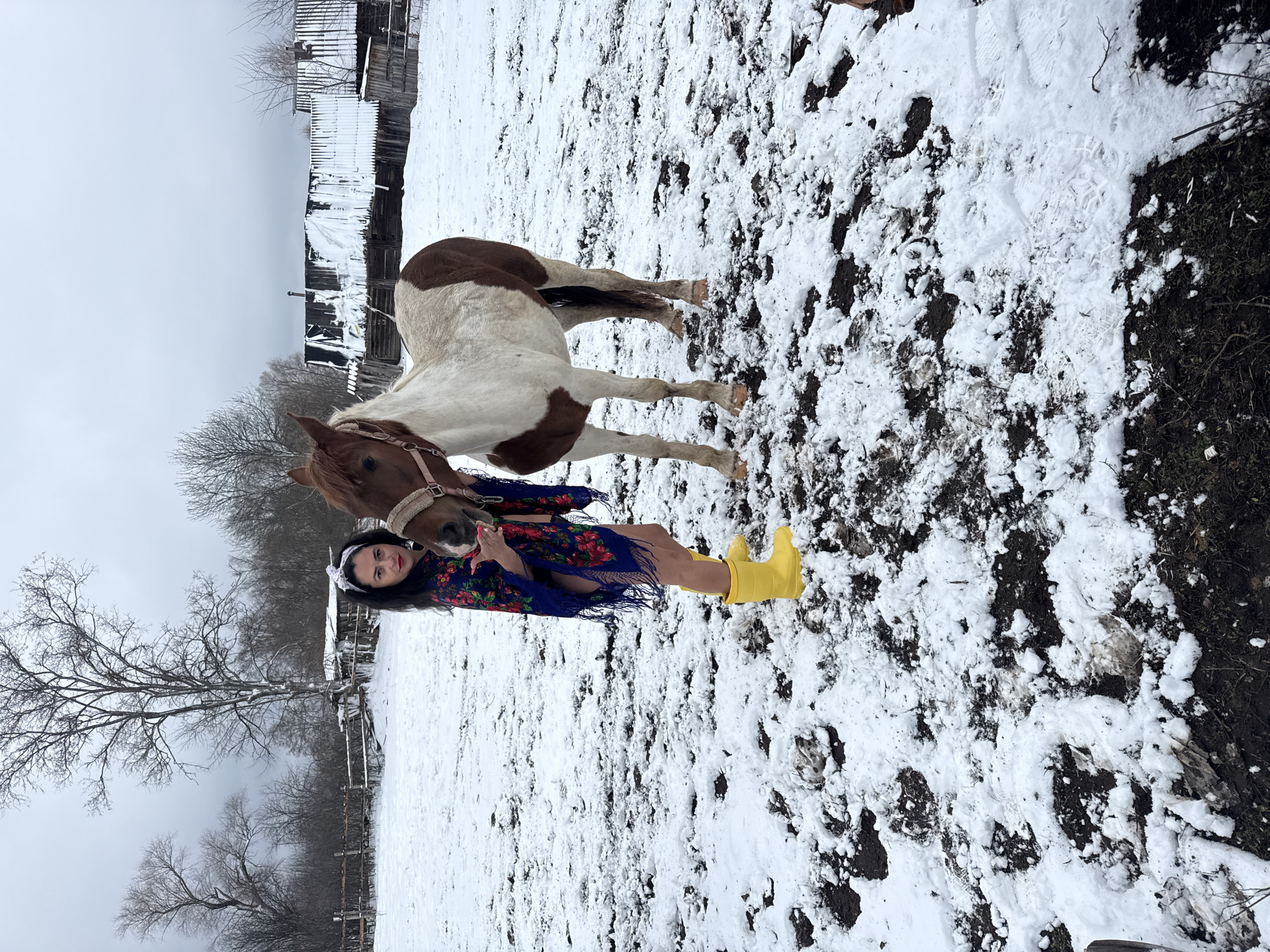 The image depicts a woman and a pony in a snowy field. The woman is wearing yellow rubber boots and a floral shawl, and a white headband. The pony is brown and white. The field is partially covered with snow, with patches of bare ground visible. In the background, there is a wooden fence and a few trees. The scene is likely located in a rural area in or near Кемуль, Russia.