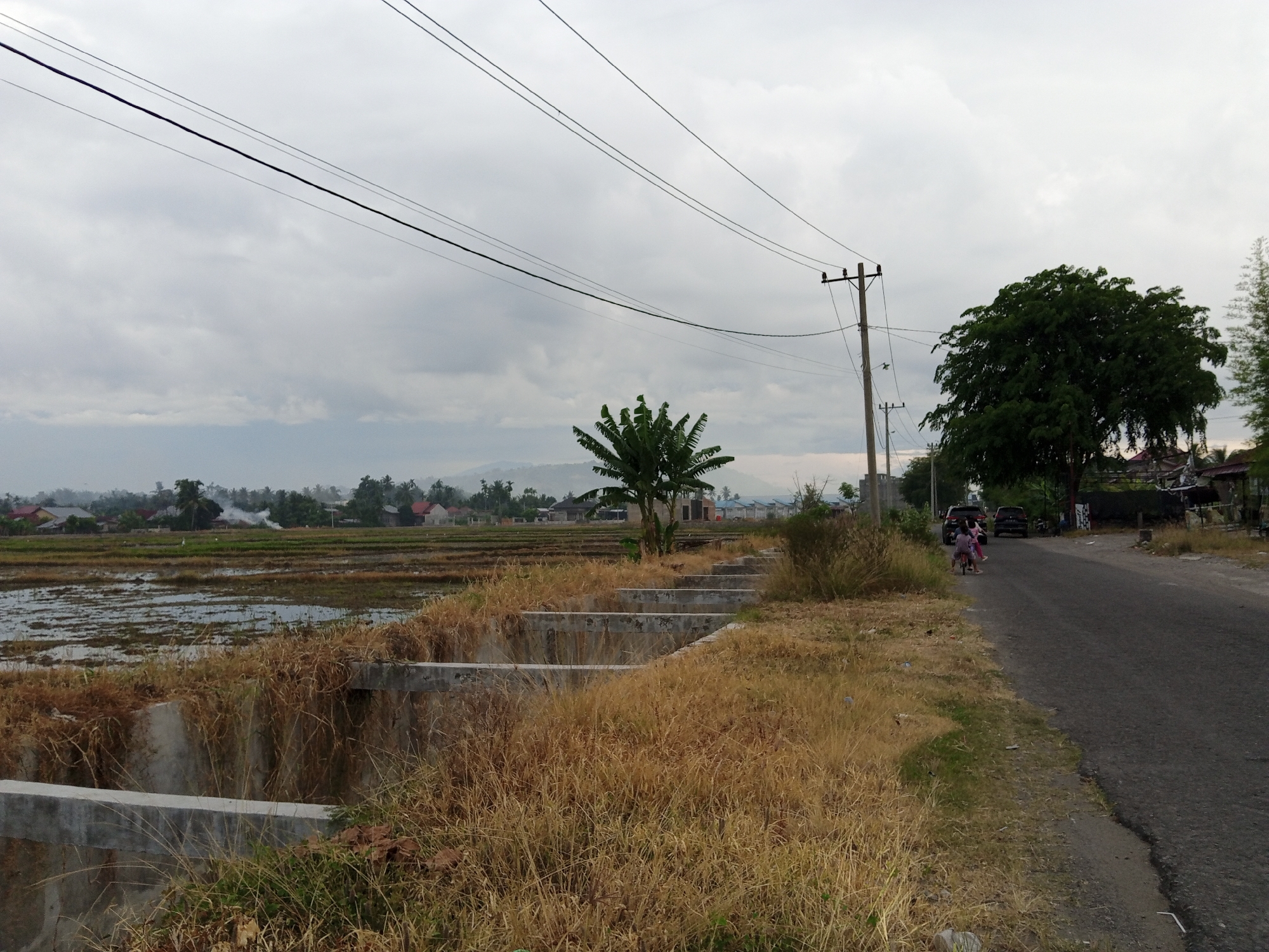 The scene is an overcast day near Puloara, Indonesia. A paved road runs through the frame, with overgrown brown grass and vegetation filling the foreground alongside a low concrete structure. To the left is a flooded paddy field stretching into the distance, where houses and a slight elevation can be seen. A lone banana tree stands near the roadside. Power lines crisscross the sky above. On the road, two children are visible riding bicycles, while two dark-colored vehicles are parked further down the road next to a large, leafy tree.