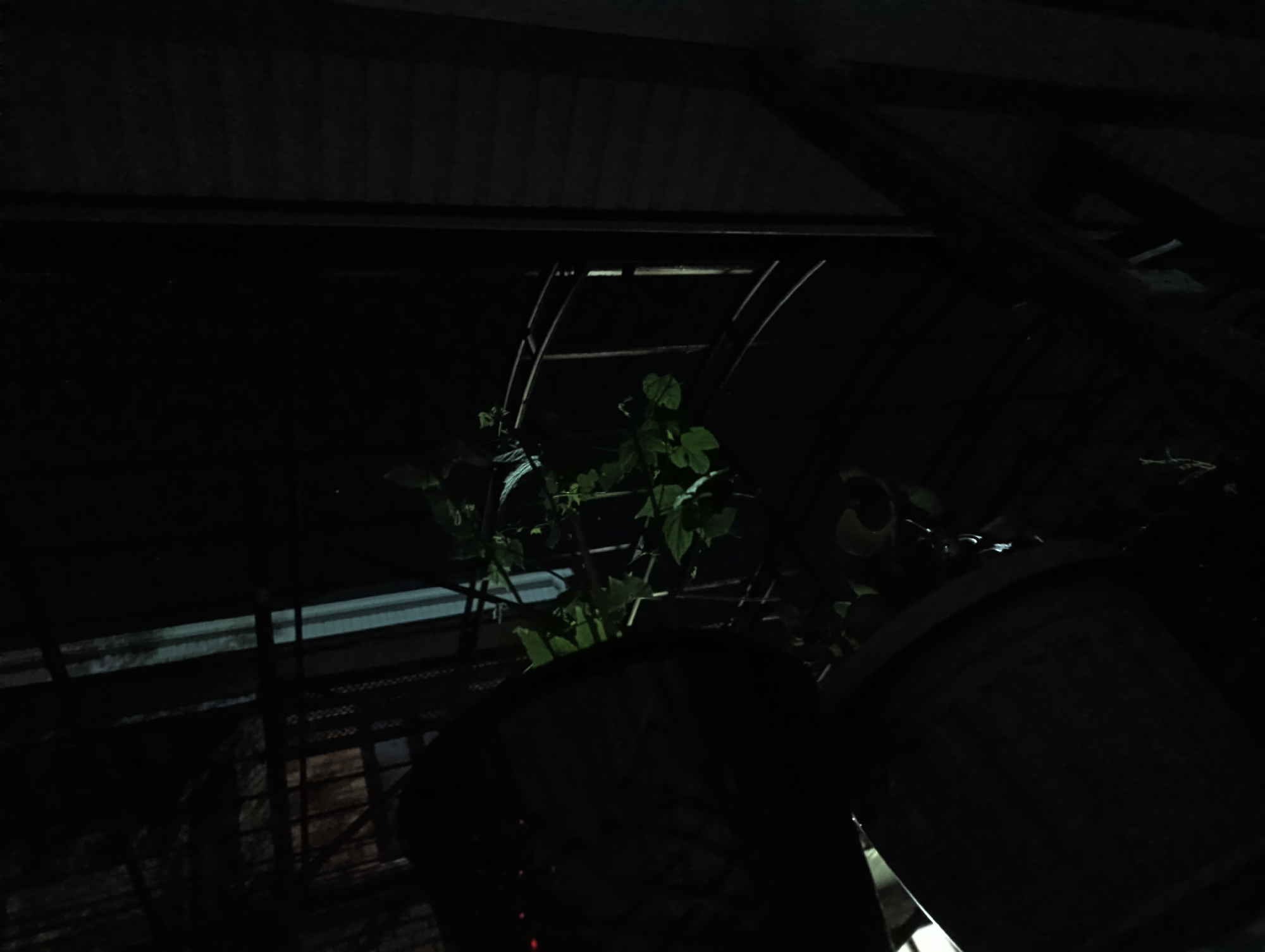 The image depicts a dark, somewhat ominous scene, likely taken at night or in a poorly lit area. The foreground is dominated by the dark, rounded shapes of what appear to be large plant pots. One pot is in the lower left, and another is in the lower right, with a section of a third pot visible behind the first. Green foliage, characteristic of plants, is visible in the midground, reaching out from behind the pots.
Above the plants and pots, there is a complex structure of dark, angular shapes. These appear to be made of metal and wood, forming a roof or canopy. The upper part of the image shows horizontal and diagonal beams, suggesting some kind of overhead structure. In the mid-upper section, a curved metal frame, possibly part of a trellis or support system, is discernible. The overall impression is of an outdoor space, perhaps a garden or a sheltered patio area, under a constructed roof.
The lighting is very low, with harsh shadows and limited detail. The scene appears to be situated in an urban or semi-urban environment, given the presence of constructed elements like the roof and pots. The reference to Shamaldy-Say, Kyrgyzstan, places the scene geographically, but there are no specific landmarks or elements within the image that definitively confirm this location. The image conveys a sense of stillness and perhaps a hint of neglect due to the darkness and the way the plants are partially obscured.