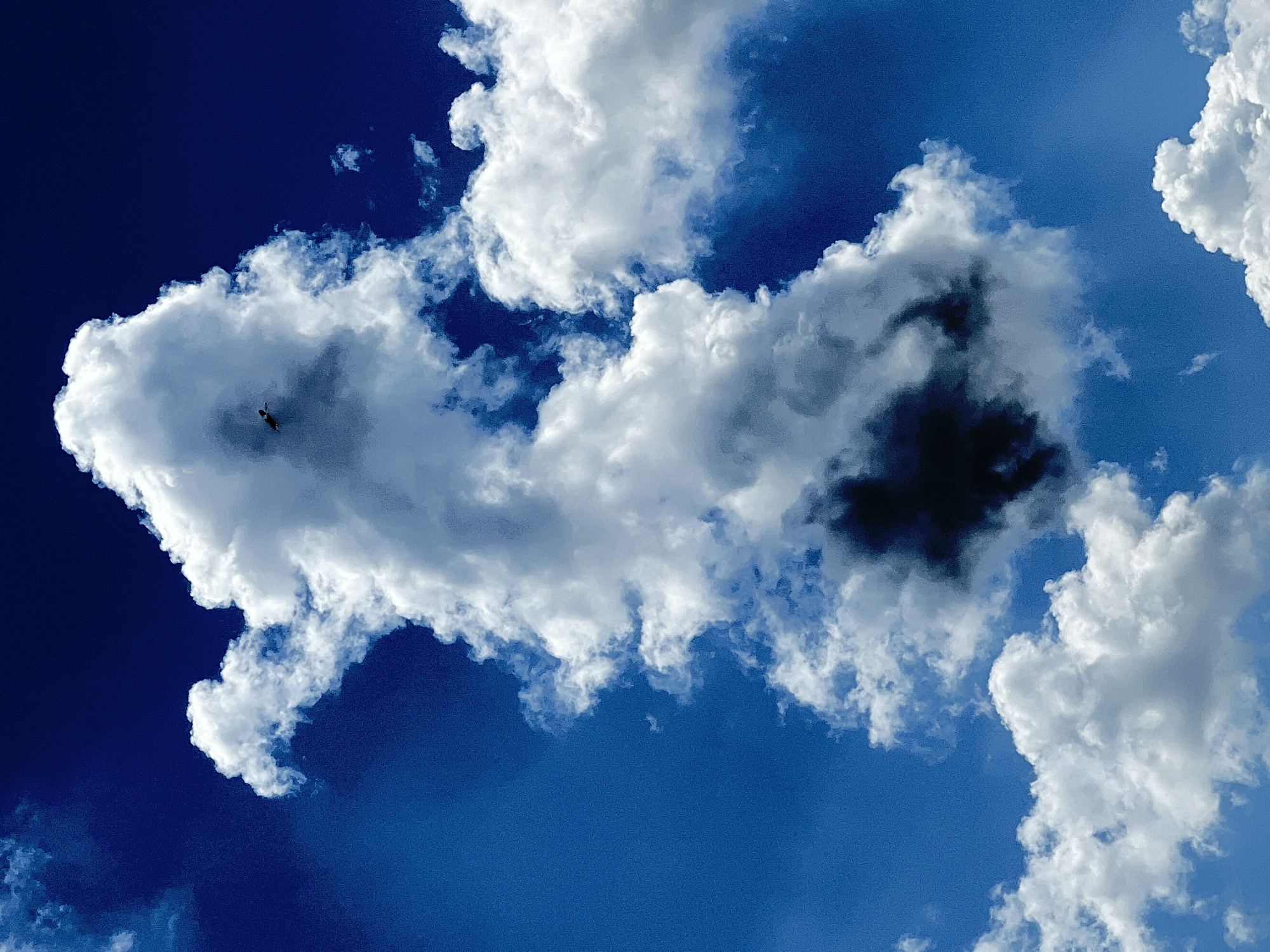 A low-angle, wide shot captures a bright blue sky with large, fluffy white cumulus clouds. A single dark bird is visible in flight against a towering, central cloud formation that is partially shadowed. The setting is the sky above Plast univska, Russia, on a clear day with substantial cloud cover.