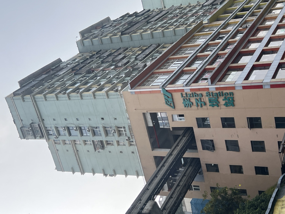 The image shows a tall building with a monorail track running through it. The building has a sign that reads "Liziba Station" in English and Chinese. Above the station portion, the building has rows of windows and what appear to be air conditioning units. The sky is overcast. Part of the building extends out to the left in a bluish-gray color and also has rows of windows and air conditioning units. A portion of trees and shrubbery appear in the bottom right corner.