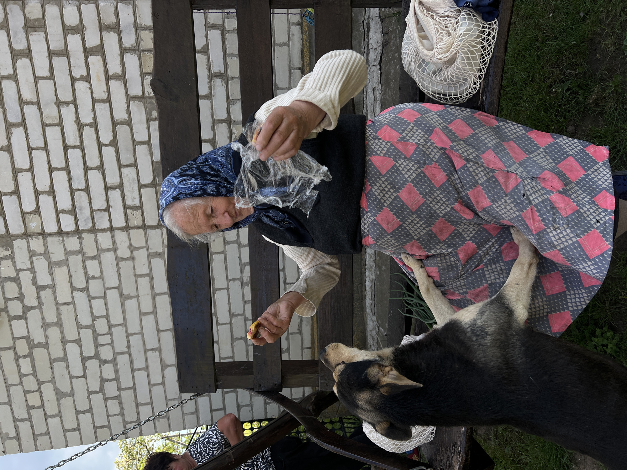 This media file features an elderly woman sitting on a wooden bench outdoors, with a dog lying beside her. The woman is wearing a blue headscarf and a white ribbed sweater over a dark vest, with a patterned skirt. She is holding a piece of food in a plastic wrapper and appears to be offering it to the dog, which is looking up at her expectantly. The dog is black and tan with some grey fur on its back.
The scene is set against a backdrop of a white brick wall and wooden fencing. To the right of the woman, a white mesh bag is visible on the bench. Green grass and foliage surround the bench, suggesting an outdoor, possibly rural, setting. The lighting suggests it is daytime, and the presence of green grass indicates fair weather. Another person is partially visible in the lower left corner, looking down. The overall mood appears to be one of gentle interaction between the woman and the dog.
The location is identified as Vertelka, Ukraine. No visible text is present in the image.