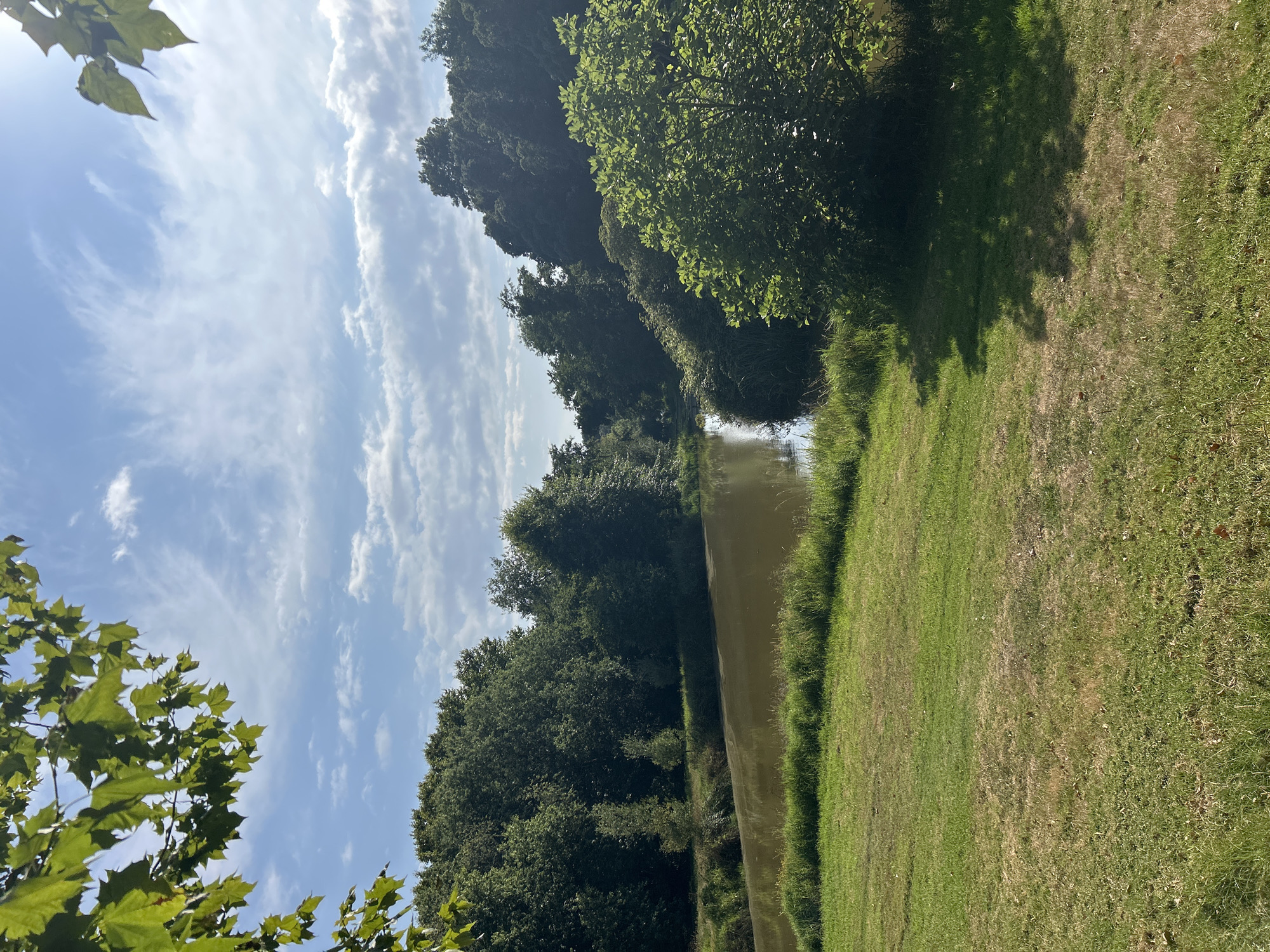 The image depicts a serene natural landscape with a body of water, surrounded by lush greenery and trees under a partly cloudy sky. The foreground features a well-maintained grassy lawn, slightly sun-drenched with some patches of drier grass and fallen leaves. A gentle slope leads down to the edge of a calm, brownish-hued pond or lake. The water reflects the sky and the surrounding vegetation.
Along the far bank of the water, a dense line of trees forms a natural barrier, with various shades of green indicating different species and densities of foliage. Some smaller, more sparsely leafed trees are visible within this treeline, and a few appear to be saplings. In the mid-ground, a large, leafy green bush or small tree stands prominently on the right side, casting a dappled shadow onto the grass.
The sky above is a bright blue, interspersed with wispy white clouds that suggest a pleasant, breezy day. Sunlight filters through the clouds, creating areas of light and shadow on the landscape. The overall impression is one of tranquility and natural beauty. There are no people or man-made structures immediately visible in the scene.
This image does not provide any specific visual cues that would indicate its location within the city of Porto, Portugal. The scene is generic and could represent a park, garden, or natural area in many locations.