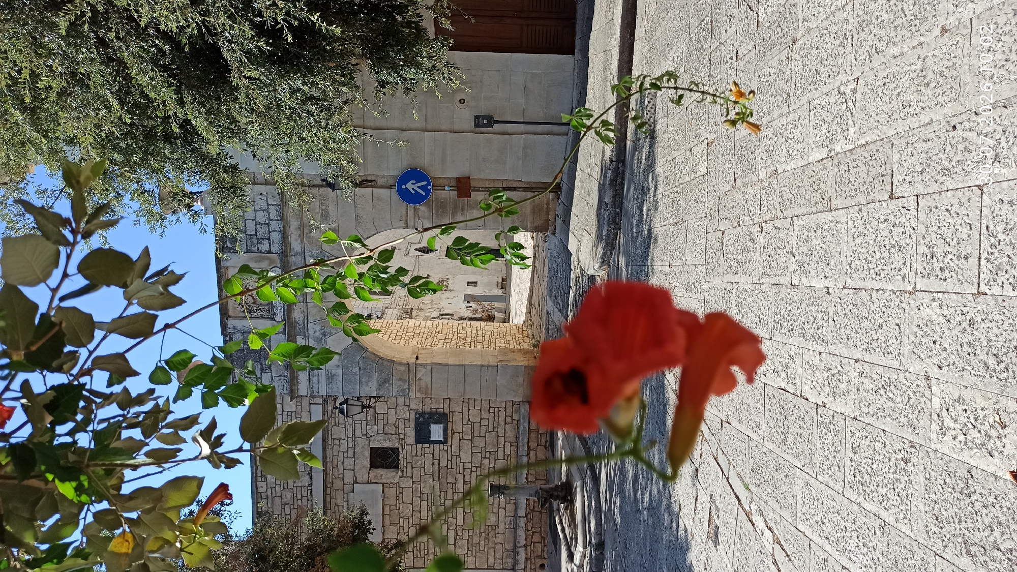 The image depicts an arched stone gateway in Terlizzi, Italy, leading to a narrow street lined with traditional stone buildings. The foreground is dominated by a branch of a flowering plant with vibrant red blossoms and green leaves, partially obscuring the view of the gateway. The ground is paved with rough-hewn stone slabs. Sunlight casts distinct shadows across the scene, indicating a bright day. A blue circular sign with a white pedestrian icon is mounted on a pole to the right of the archway. A street lamp is visible on the left side of the gateway, attached to the stone wall. The architectural style suggests a historic urban setting. The timestamp "30.07.2026 10:02" is visible in the bottom right corner.