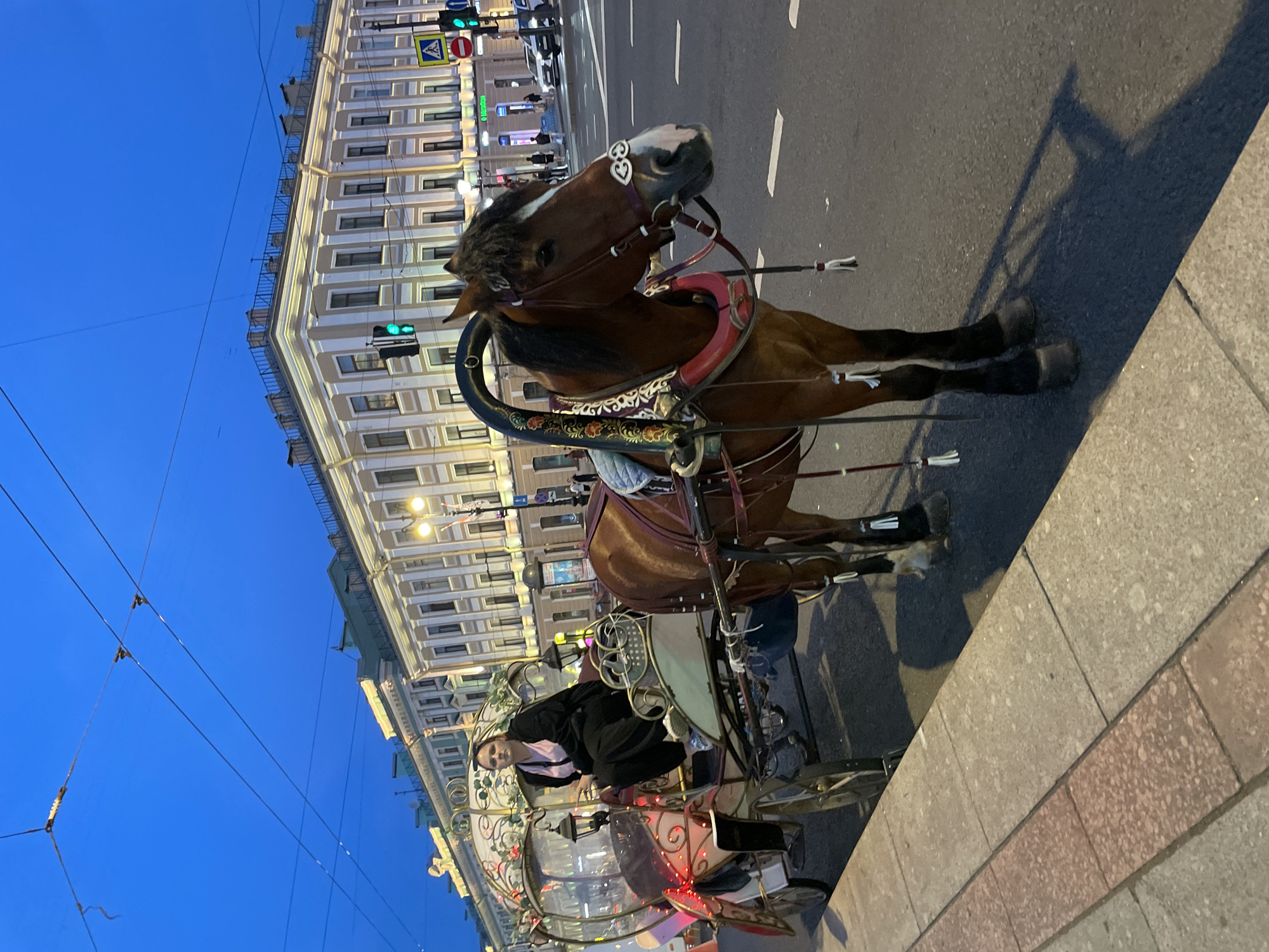A horse-drawn carriage is parked on the side of a street in Saint Petersburg, Russia. A young woman is seated in the carriage. The carriage is ornate with decorative metalwork and lights. The horse is a chestnut color and is wearing elaborate tack. In the background, there are buildings with classical architecture and streetlights. The sky is a deep blue, suggesting it is dusk or early evening. The scene is illuminated by the carriage lights and streetlights.