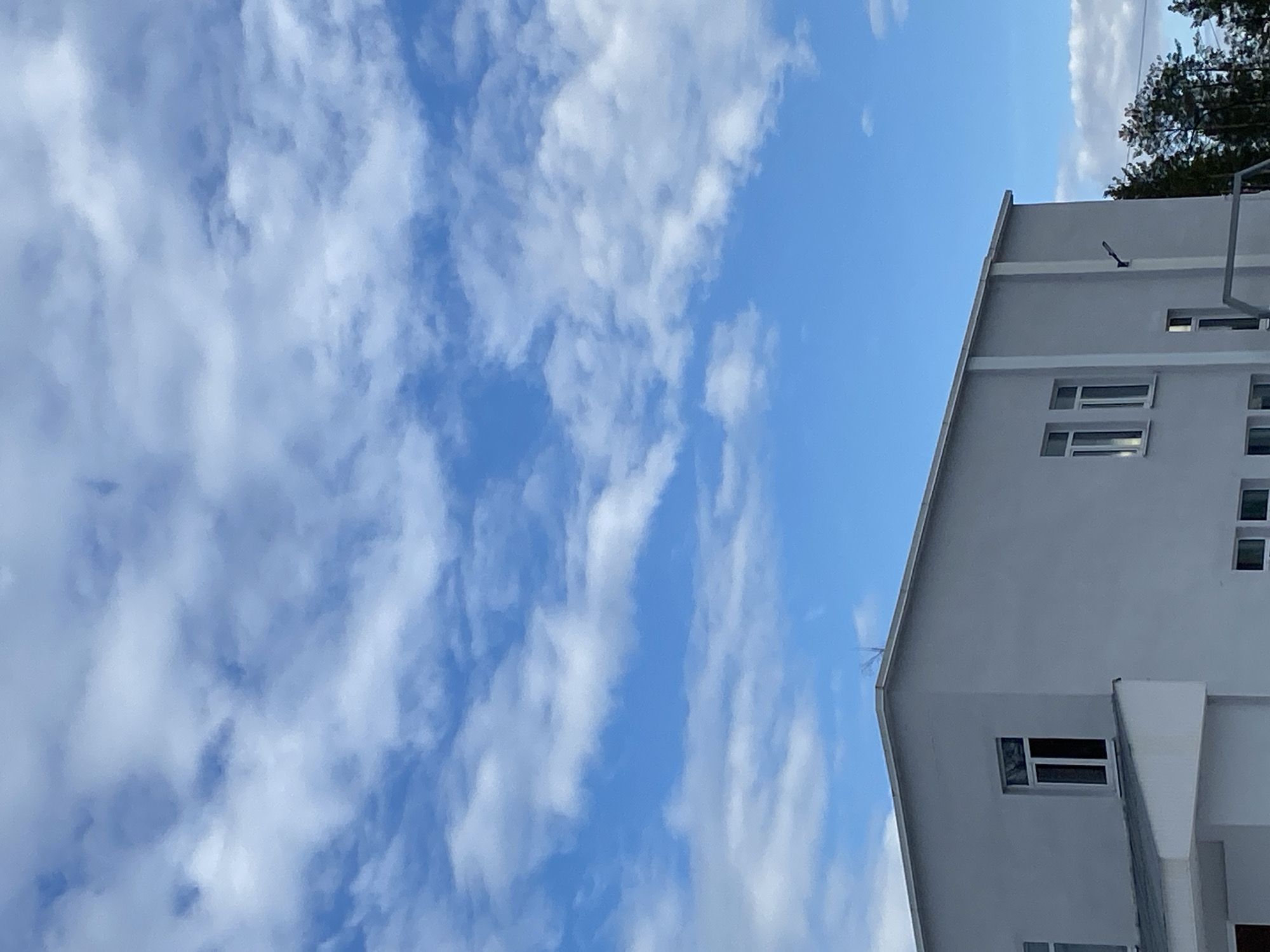 The image captures an outdoor scene under a bright, partly cloudy sky in Noviy, Russia. The upper two-thirds of the frame is dominated by a vibrant blue sky dotted with numerous white cumulus clouds of varying sizes and densities. The lower third features the upper portion of a multi-story, light gray building with a flat roof and a slight overhang. Several rectangular windows with white frames are visible on the building's exterior, some showing dark interiors. A distinct white vertical architectural strip is present on the right side of the building, with an attached dark, elongated fixture. On the lower left, a lighter gray sloped roof or awning is visible. In the lower right corner, a portion of a metallic structure, possibly part of outdoor recreational equipment, is visible in the foreground. Behind this structure and the building, a cluster of dark green coniferous trees is present. No individuals or specific activities are depicted.