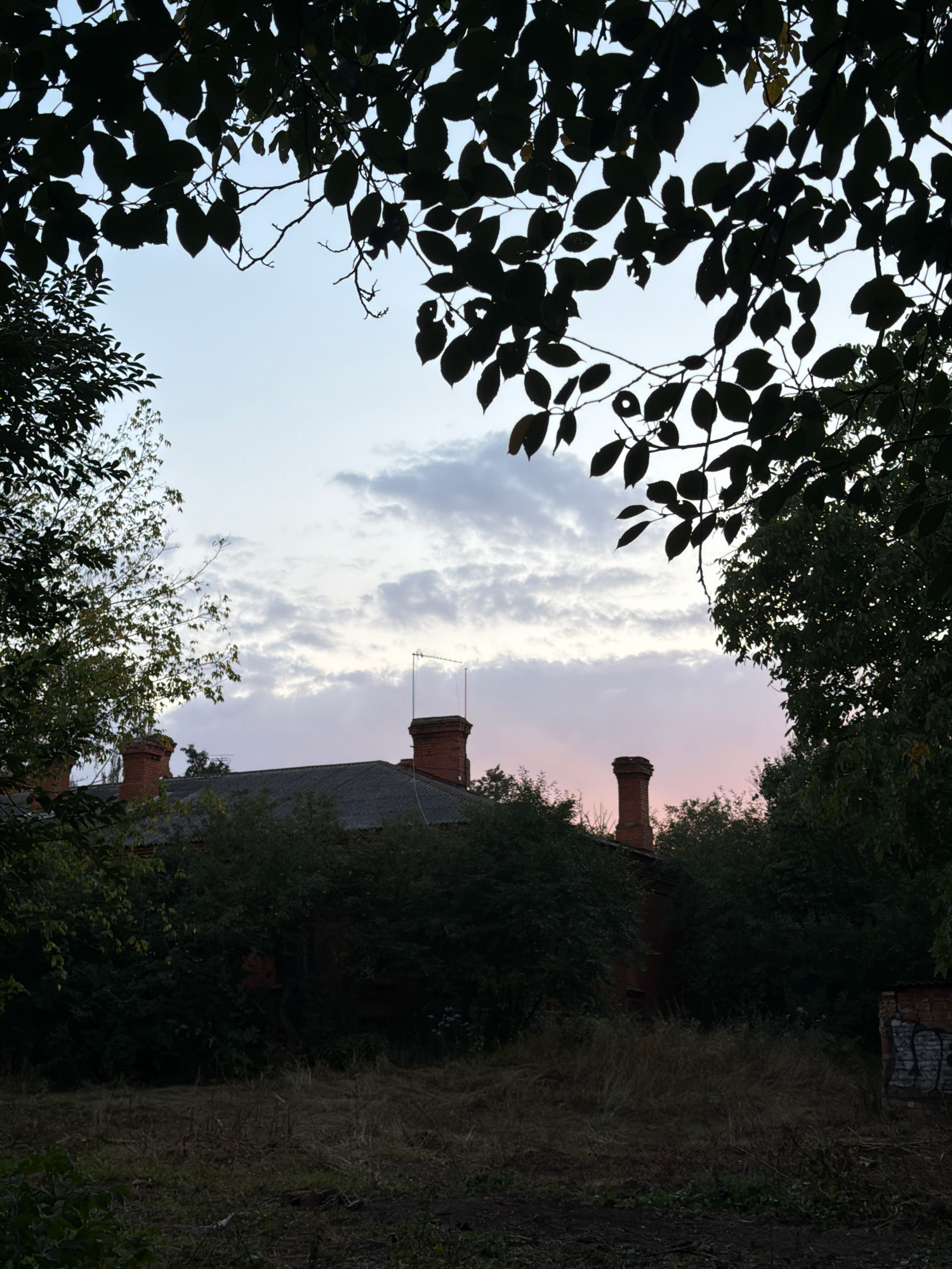 The image depicts the roof of an old brick building, possibly an abandoned structure, surrounded by dense vegetation. Two brick chimneys are visible on the roof. The sky above is overcast with clouds, and a hint of pink can be seen, suggesting either sunrise or sunset. Silhouetted tree branches with leaves frame the top of the image. The ground in front of the building is covered with dry grass and dirt. The overall impression is one of a slightly overgrown and neglected urban fringe or a historical site within Khmelnytskyi, Ukraine.