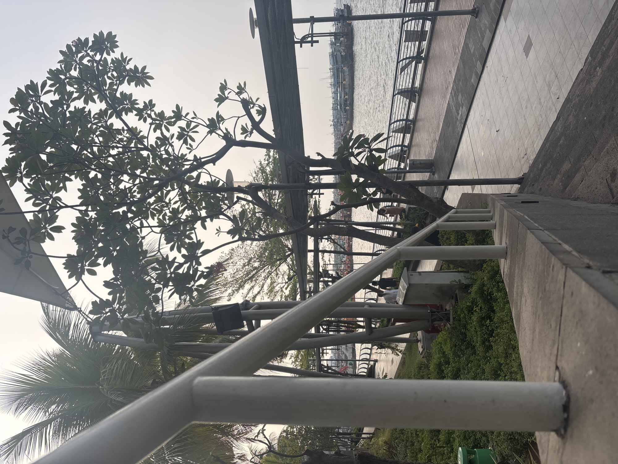 The image depicts a waterside promenade, likely in North Jakarta, Indonesia, characterized by lush greenery and a paved walkway. A white railing, partially in the foreground, runs along the left side of the image, curving upwards and to the right. Beyond the railing, a dense line of low-lying green shrubs covers the ground, interspersed with several tall, slender poles supporting overhead lighting fixtures and what appears to be a covered walkway structure.
Palm trees are visible behind the greenery and poles, their fronds reaching towards the overcast sky. In the middle ground, the paved walkway is bordered by a metal railing system. Several people are present on the walkway, including two individuals walking away from the camera, one in a white shirt and the other in dark clothing. Further down the promenade, a cluster of boats and larger vessels are anchored in the water, suggesting a port or harbor area. The water itself is calm, reflecting the muted light of the sky. The overall atmosphere is one of a public recreational space adjacent to a busy waterway.