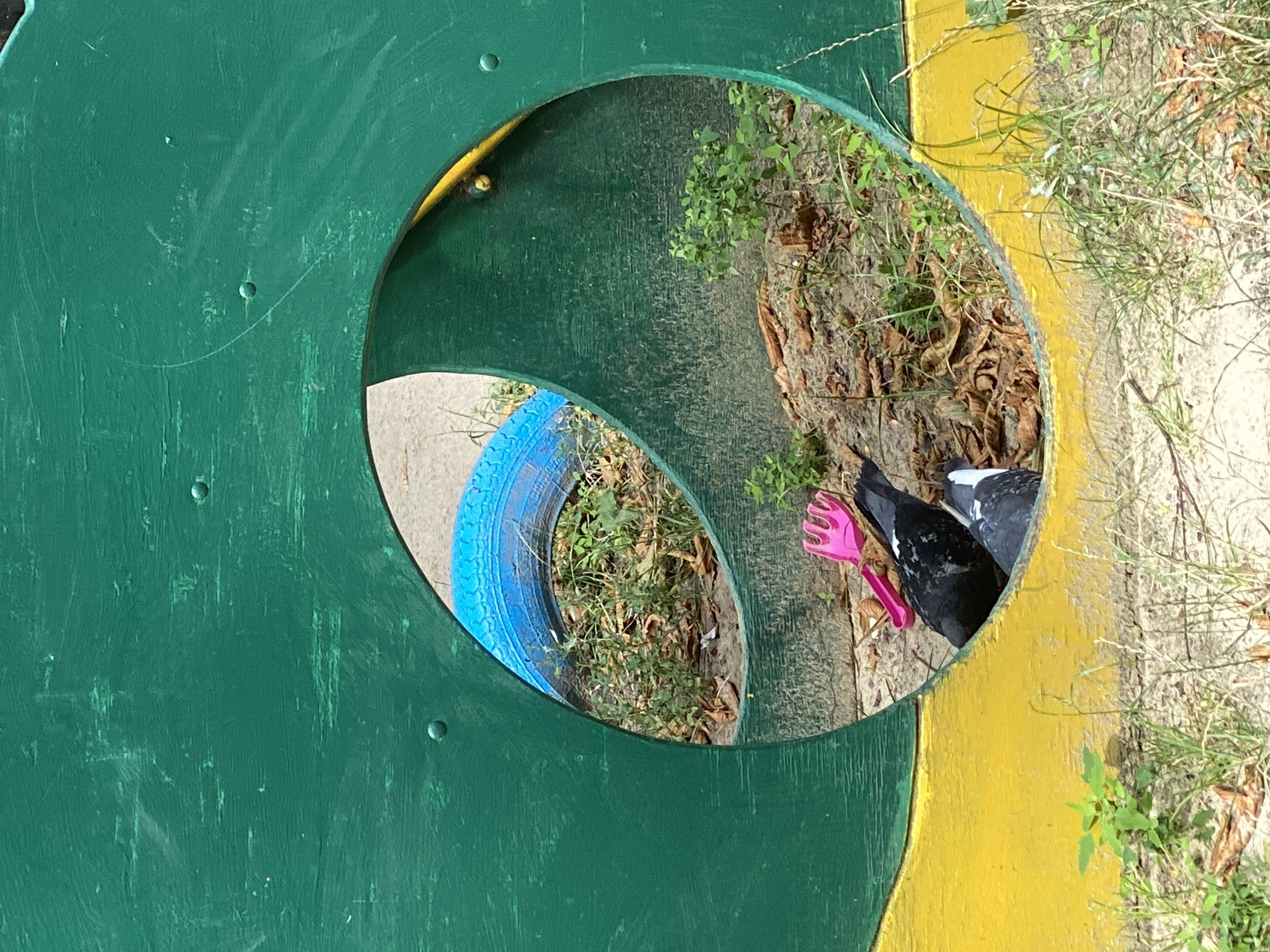The image depicts a section of an outdoor play structure, likely in Poltava, Ukraine, as suggested by the context of the request. The structure is painted green and yellow and features a large circular opening. Through this opening, a blue tire is visible, partially embedded in the ground and surrounded by dry leaves and sparse vegetation. Inside the opening, two birds with black and white plumage are present. One bird is partially visible, while the other is more fully in view, appearing to be foraging or investigating the ground. A small pink plastic rake is also located within the opening, near the birds. The ground surrounding the structure is covered with grass and fallen leaves. The lighting suggests it is daytime.