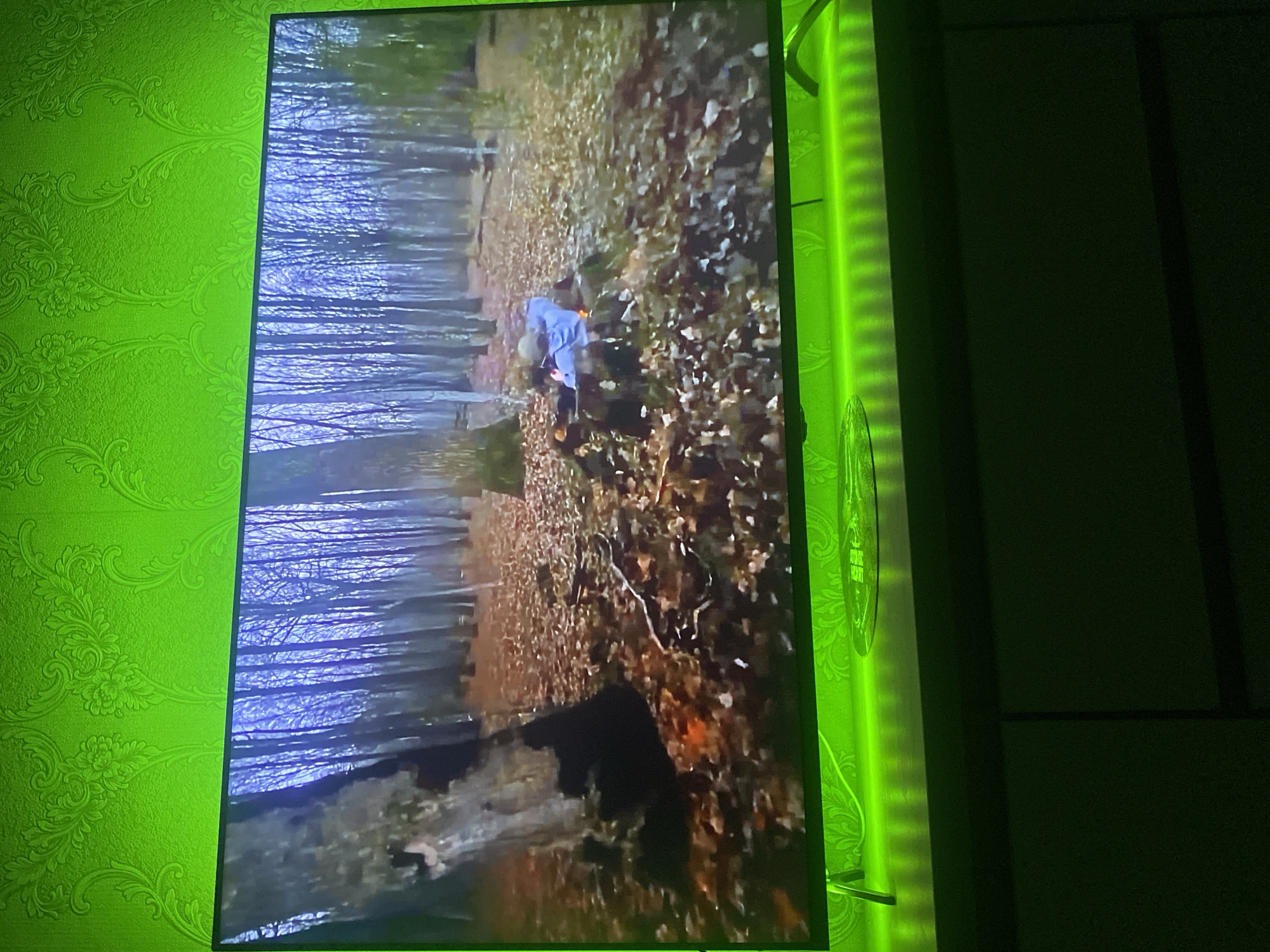 This image captures a television screen displaying a forest scene, situated within a room in the city of Chaikovsky, Russia. The room's wall above the television is covered with bright green, patterned wallpaper featuring a floral motif. Green LED strip lighting is affixed below the television, illuminating the wall and a dark-colored credenza or TV stand beneath it. A partially visible circular decorative object rests on the right side of the TV stand.
The television screen shows an outdoor environment: a dense, deciduous forest, likely in late autumn, as the trees are bare and the ground is heavily covered with fallen brown and orange leaves. In the mid-ground, a person is visible, lying prone or crouching behind a small earthen rise with roots, partially obscured. This individual wears light-colored clothing, possibly light blue or grey, and a cap. They are holding a long, dark object, consistent with a rifle, aimed towards the right of the frame. The lighting within the forest scene appears diffused, suggesting an overcast day.
