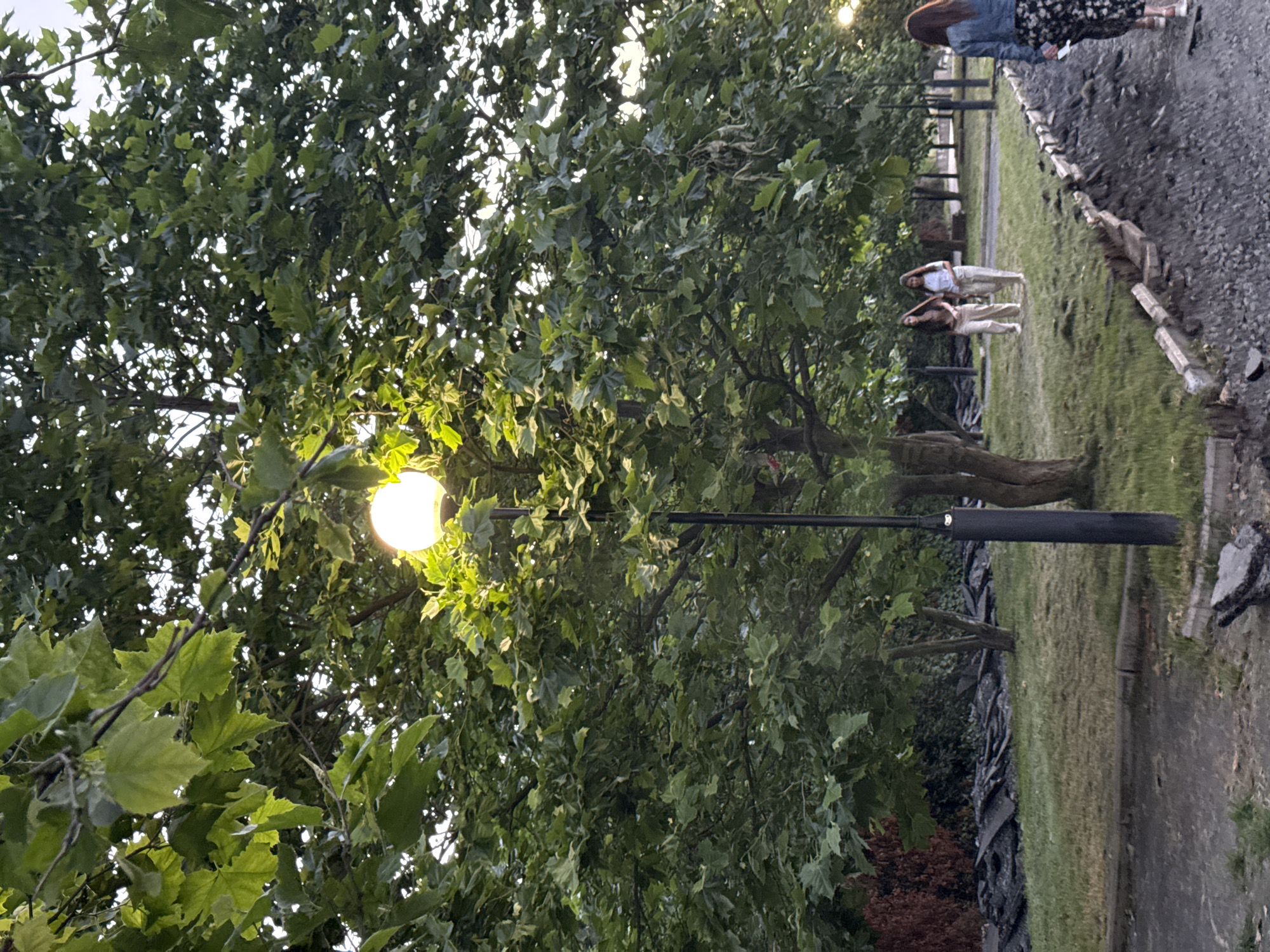 The image shows a park scene with lush green trees and a pathway. Three women are visible in the background, two standing closer together and one further away and partially obscured. The woman in the foreground is wearing a blue denim jacket and a floral print skirt. The two women in the middle are wearing light-colored clothing, possibly linen pants and tops. They appear to be socializing.
A street lamp with a glowing bulb is prominent in the foreground, positioned amidst the dense foliage of a large tree. The leaves of the tree are a vibrant green, with some sunlight filtering through, suggesting it is either early morning or late afternoon. The pathway behind the women is covered with gravel and bordered by low stone edging, leading into a grassy area. The overall atmosphere appears relaxed and casual. The ground is somewhat damp, indicating recent rain or dew. The location is identified as Otf Kaktugay, Russia.