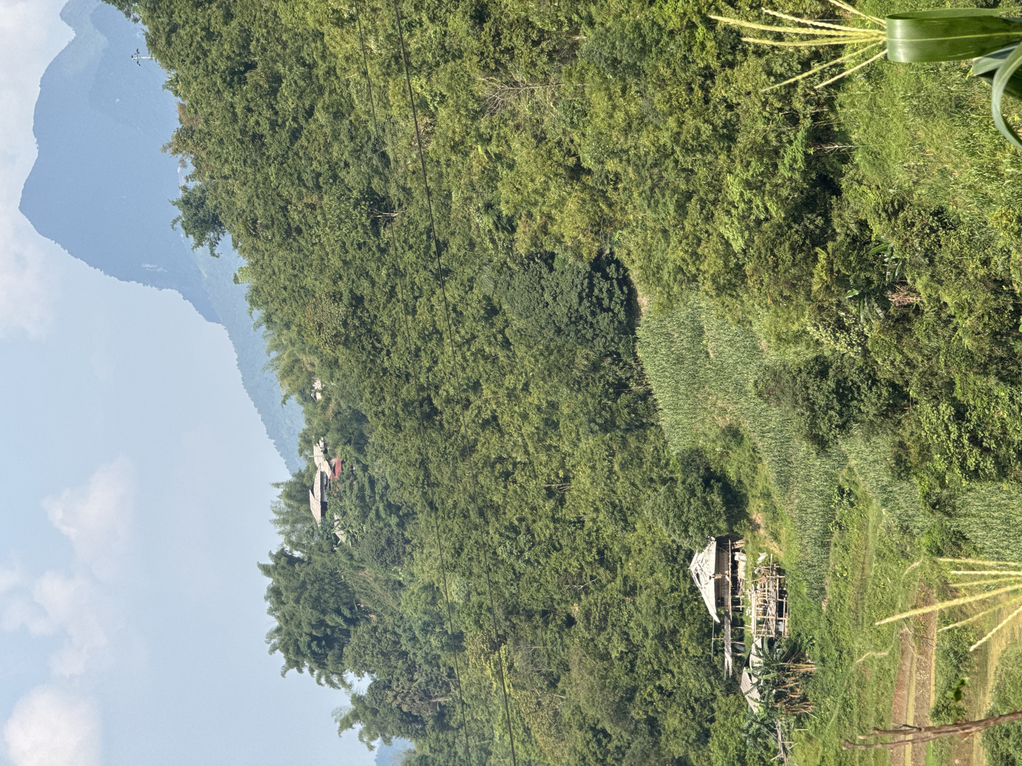 The image shows a mountainside in Mậu Duệ Commune, Vietnam. Lush green vegetation covers the slopes, including dense trees and cultivated fields. Two small buildings are visible on the hillside, partially obscured by the foliage. A tall mountain range is visible in the background against a light blue sky. Power lines run across the landscape. The image is tilted at an angle.