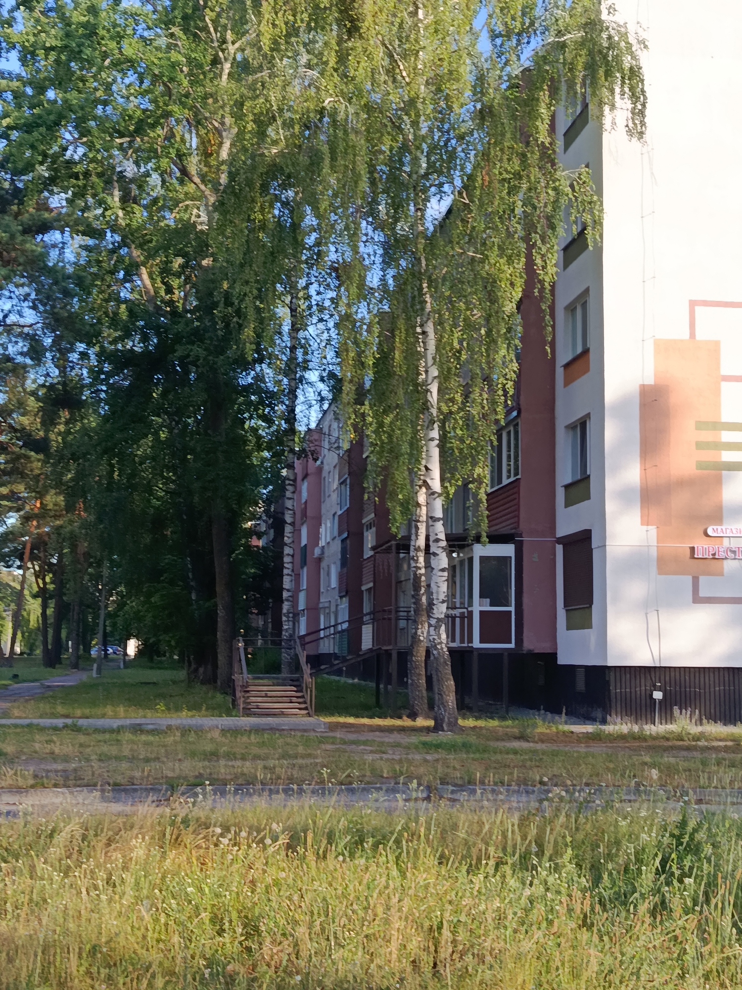 The image depicts a residential building in Svietlahorsk, Belarus, on a sunny day. The building is multi-story with a facade featuring sections of pink and white. There are windows and balconies visible, some with railings. A large birch tree with cascading green foliage partially obscures the building on the left side of the frame. Pine trees and other greenery are also present, lining a pathway that leads away from the building. In the foreground, there is a strip of mowed grass and then a dense area of tall, dry grass with small white flowers. A set of wooden stairs with red trim leads up to an entrance of the building. A sign with Cyrillic lettering is visible on the building's facade. The sky is blue and clear. There are no people or animals visible in the image.
