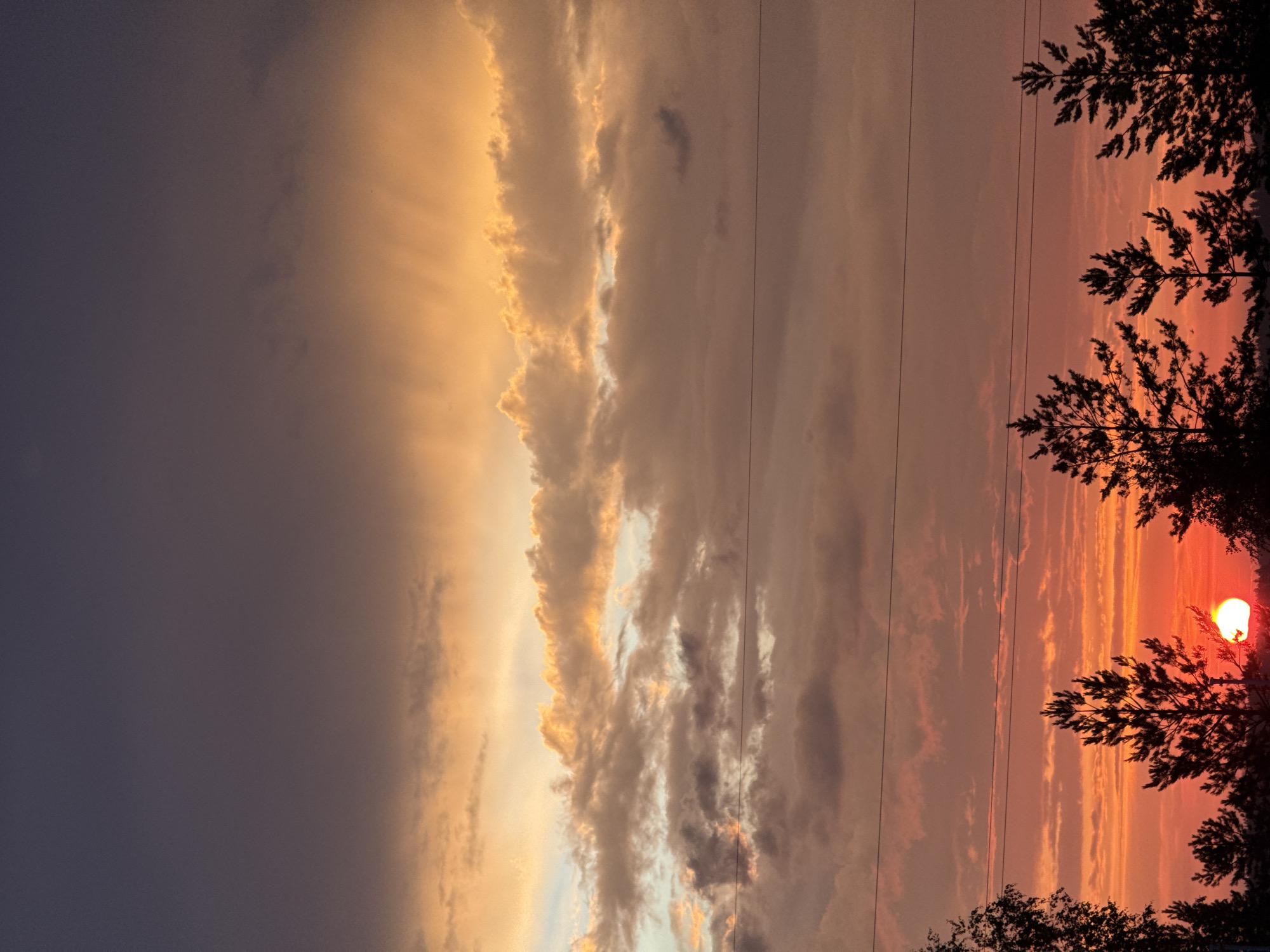 The image captures a dramatic sunset over the city of Sarapul, Russia. The sky is a canvas of deep purples, oranges, and yellows, with clouds streaked by the setting sun's rays. Silhouetted against this vibrant backdrop are the dark forms of evergreen trees and what appear to be power lines stretching across the frame. The sun itself is a bright, orb-like presence peeking through the treeline, casting a warm, reddish glow on the lower portion of the sky. The scene is serene and evokes the natural beauty of the landscape during twilight.