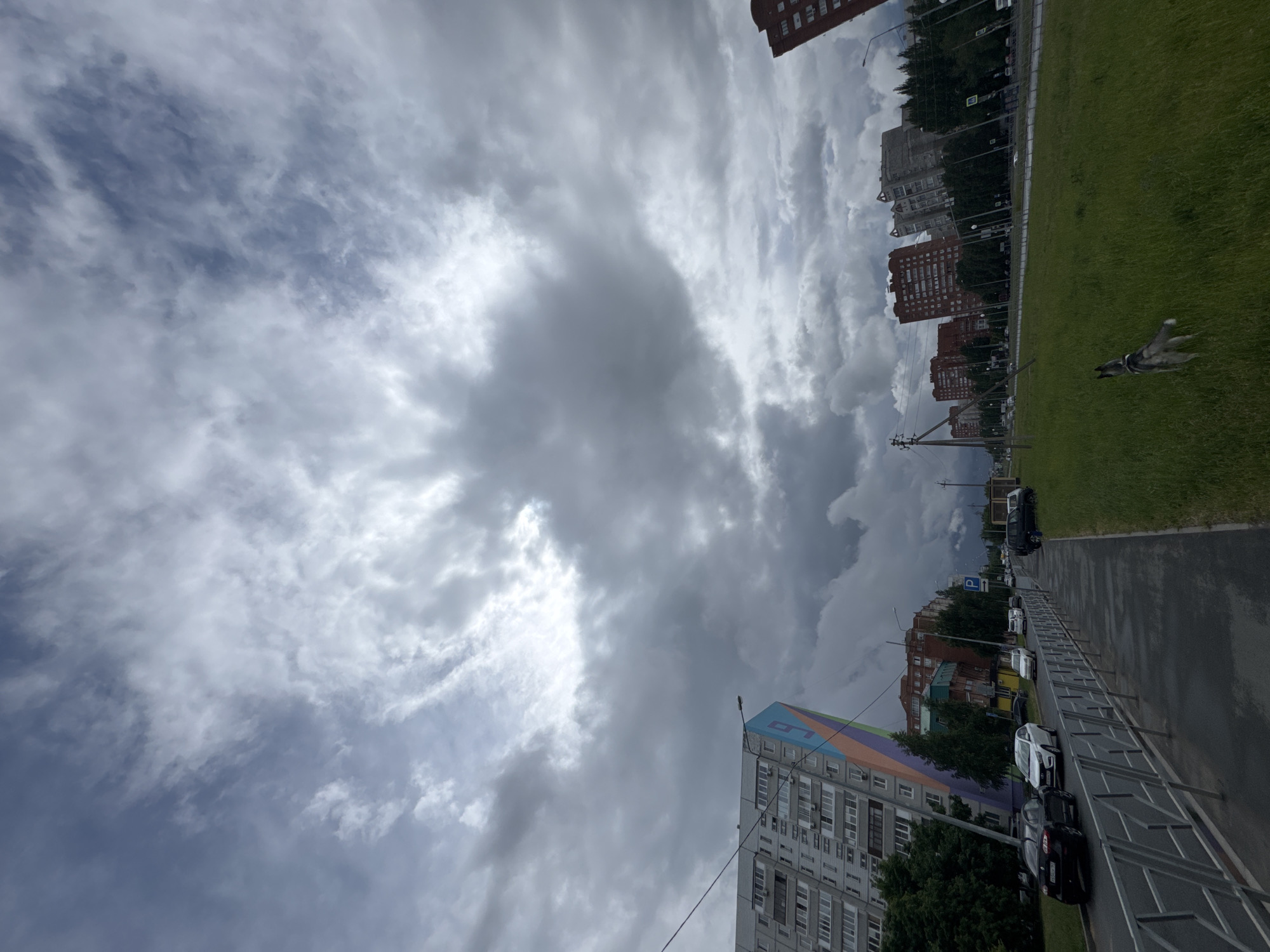 The image depicts an overcast day in an urban environment. The sky is dominated by heavy, gray clouds. Below, there is a street scene. On the right, there's a grassy area, a sidewalk and a road with parked cars lining the side. Several multi-story residential buildings are visible further back. A tall apartment building with a colorful mural on its side rises on the left. A single dog is mid stride in the grass.