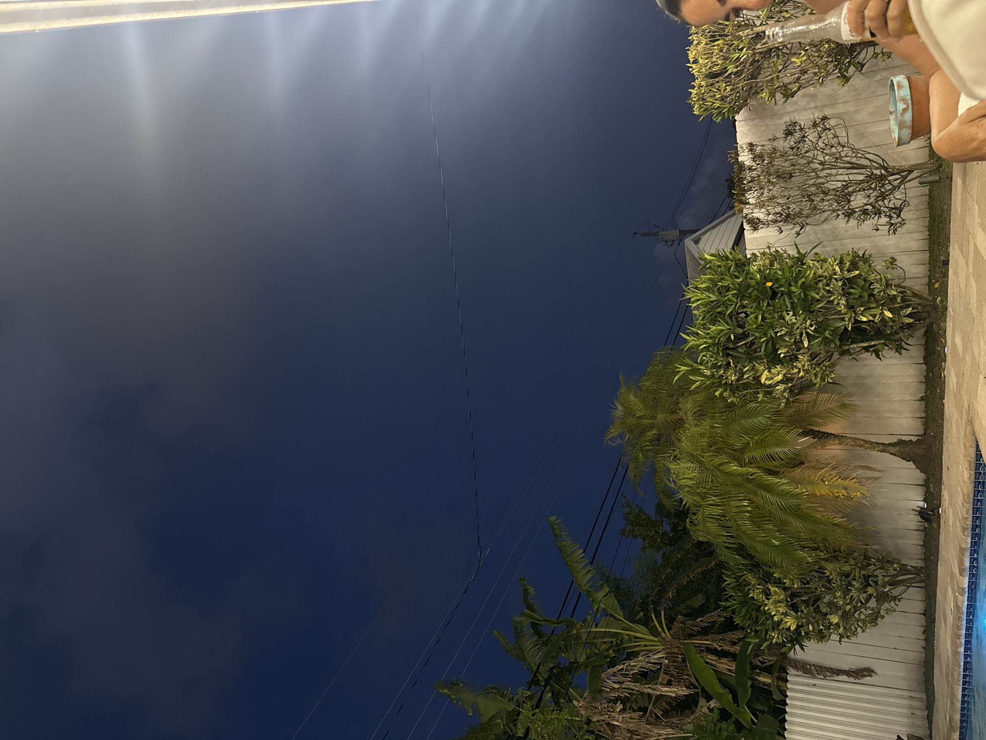 Here is a description of the image:
The image appears to be taken outdoors in the evening or at night in Miami, United States of America. The sky is a dark, blueish-grey color with some cloud cover. Electrical wires are visible across the sky. On the right of the frame, there is a wall, trees, and lush tropical foliage. The edge of a swimming pool is partially visible in the bottom right corner. A person is partially visible at the top right of the image, holding a bottle.