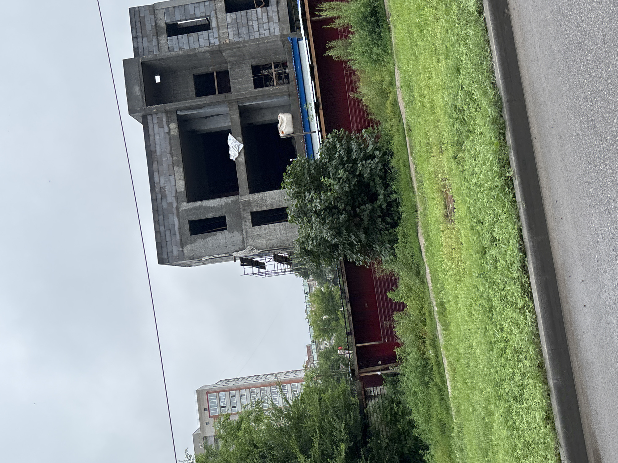 The image shows an unfinished concrete building under construction, characterized by exposed concrete blocks and open window frames. A blue and white corrugated metal roof is visible, along with a red metal fence. Adjacent to the construction site, there's a tall, multi-story residential building with numerous windows. The scene is overgrown with lush green grass and foliage, suggesting a natural or unkempt area. A paved road with a curb runs in the foreground. The sky is overcast and gray. The location is identified as Blagoveshchensk, Russia.