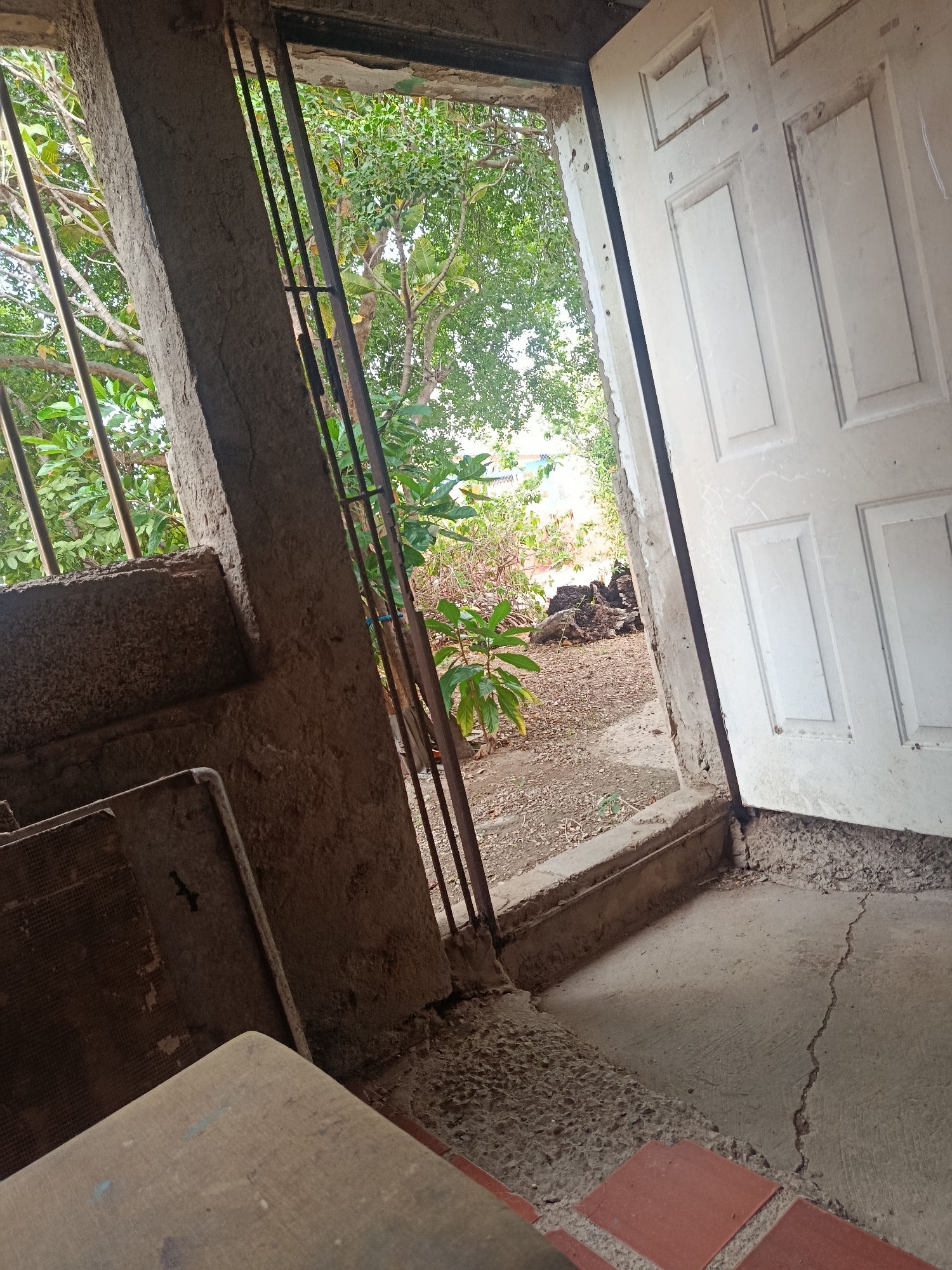 The image depicts an open doorway leading to an outdoor area. The doorway is framed by rough concrete and metal bars. Inside, a white paneled door is ajar, revealing a cluttered space with a concrete floor. To the left of the doorway, a concrete structure with metal bars is visible, with what appears to be discarded material resting on it. The outdoor area beyond the doorway is overgrown with vegetation, including trees and bushes. The ground is covered with dirt, leaves, and some debris. The overall scene suggests a somewhat neglected or unfinished structure in an urban or semi-urban environment. The location in Juan Griego, Venezuela, suggests a warm climate with lush vegetation. The lighting suggests it is daytime.