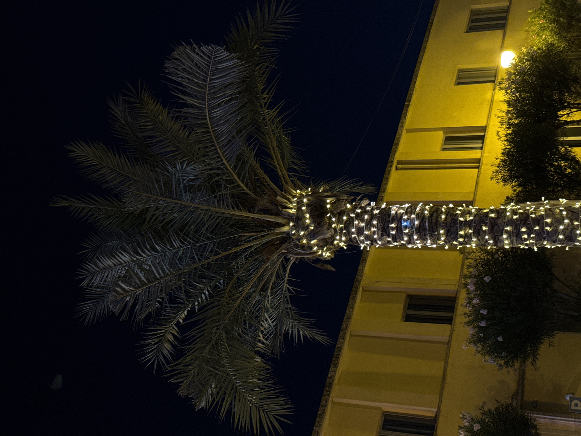 A nighttime street scene in an unknown city, featuring a palm tree decorated with white string lights. The palm tree is centrally located and illuminated by its lights. Behind the tree, a bright yellow building with multiple windows is visible. The sky is dark and clear. The ground is not visible in the frame.