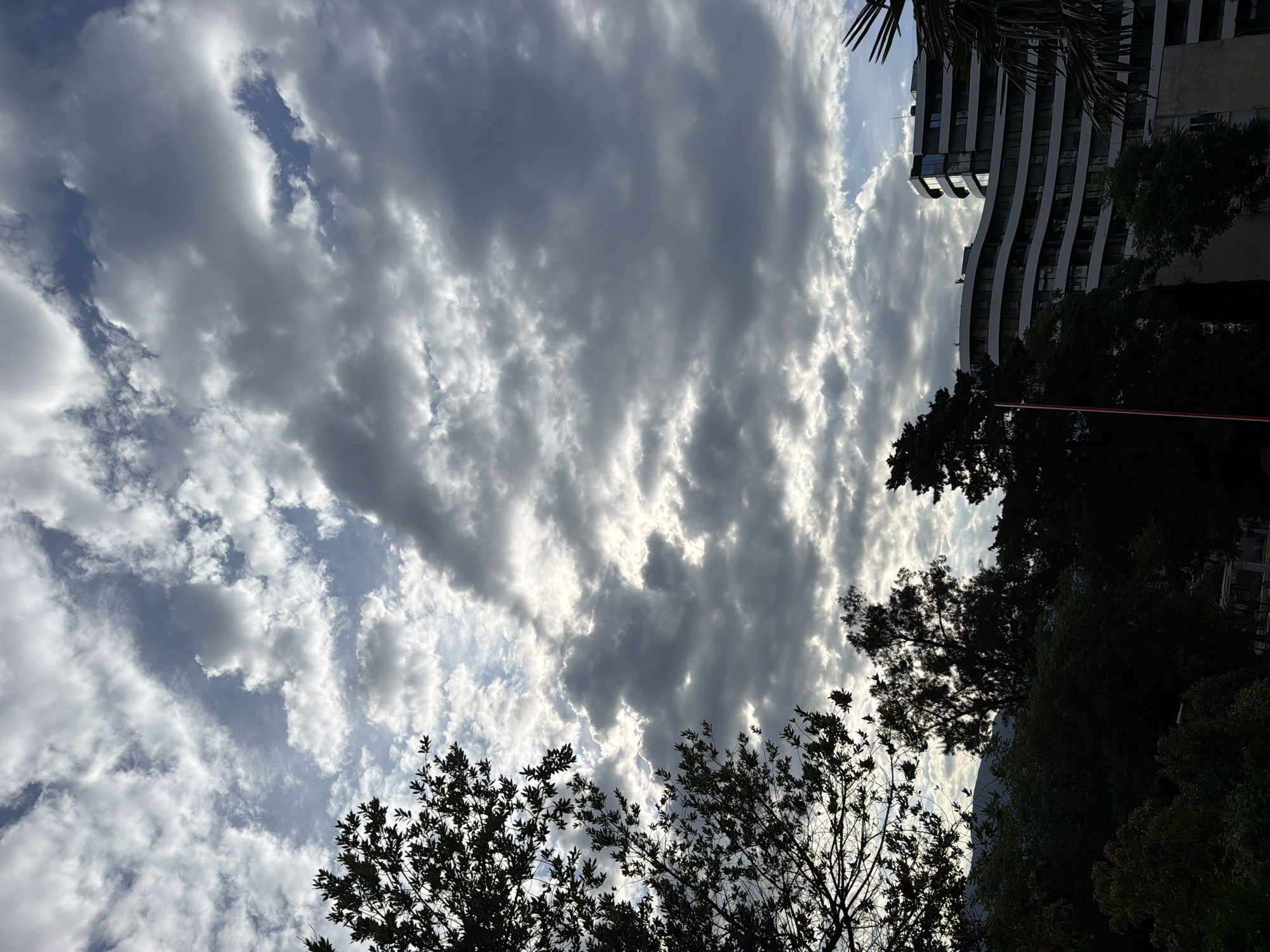 The image shows a view upwards towards a cloudy sky, framed by the silhouettes of trees and a tall building on the right. The clouds are dense and gray, with patches of blue sky visible in between. Sunlight filters through the clouds, creating a dramatic effect. The trees are dark and silhouetted against the sky, their branches reaching towards the clouds. The building is a modern, high-rise structure with horizontal lines. Based on the architecture and environment, the location is likely in Budva, Montenegro. There are no people visible in the image.