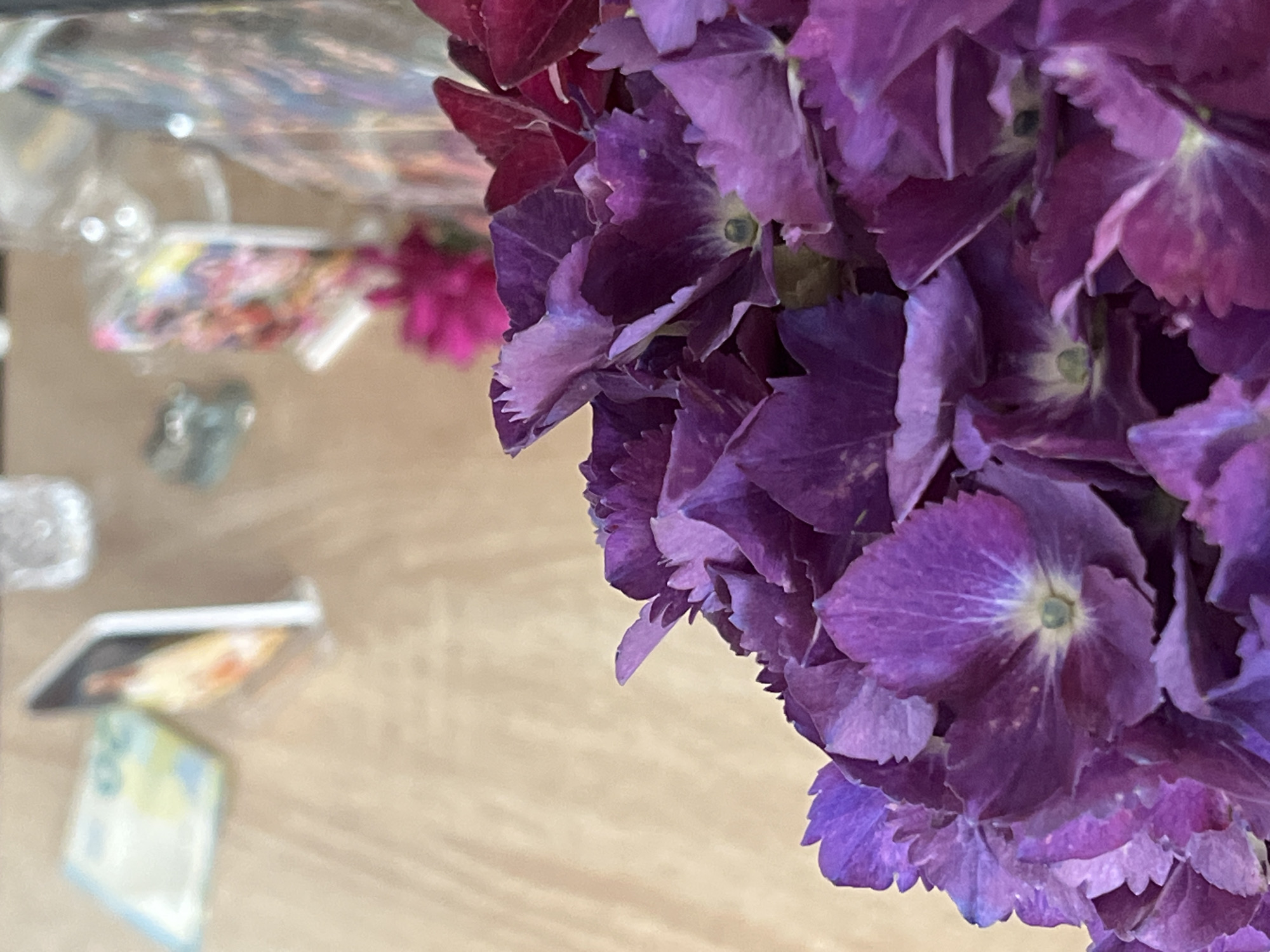 The image shows a close-up of vibrant purple hydrangeas in the foreground, with their delicate petals and intricate centers clearly visible. The background is blurred, but it appears to be a wooden surface with some items placed on it. To the left, a light blue object with some markings, possibly money, is visible. Further back, there are some small, indistinct objects that could be decorative items or photographs. A hint of a bright pink flower can be seen behind the hydrangeas. The overall impression is of a still life arrangement, possibly on a table in a home or shop. The image does not contain any specific elements that would indicate its location in Bunbeg, Ireland.