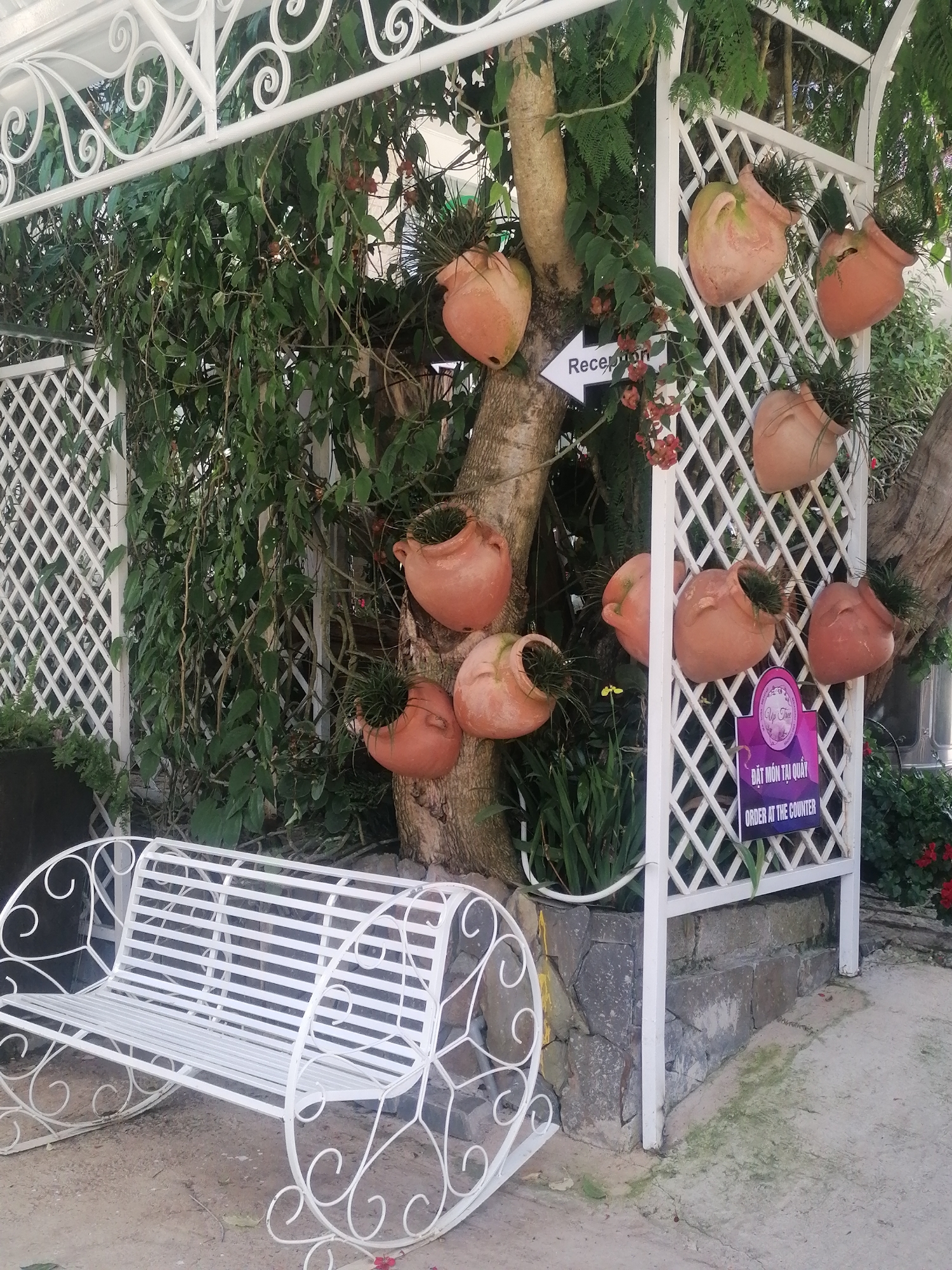 The image depicts an outdoor seating area in Da Lat, Vietnam, featuring a white ornate bench in the foreground and a trellis structure adorned with terracotta hanging planters in the background. A tree grows through the trellis, its trunk and branches covered in vines and leaves. Several terracotta pots, some containing small green plants, are attached to the trellis and the tree. A white arrow sign pointing to the right reads "Reception". Below this, a purple sign with text in Vietnamese and English reads "ĐẶT MÓN TẠI QUẦY" and "ORDER AT THE COUNTER". The ground is a mix of concrete and stone. The environment is lush and green, suggesting a garden or courtyard setting.
