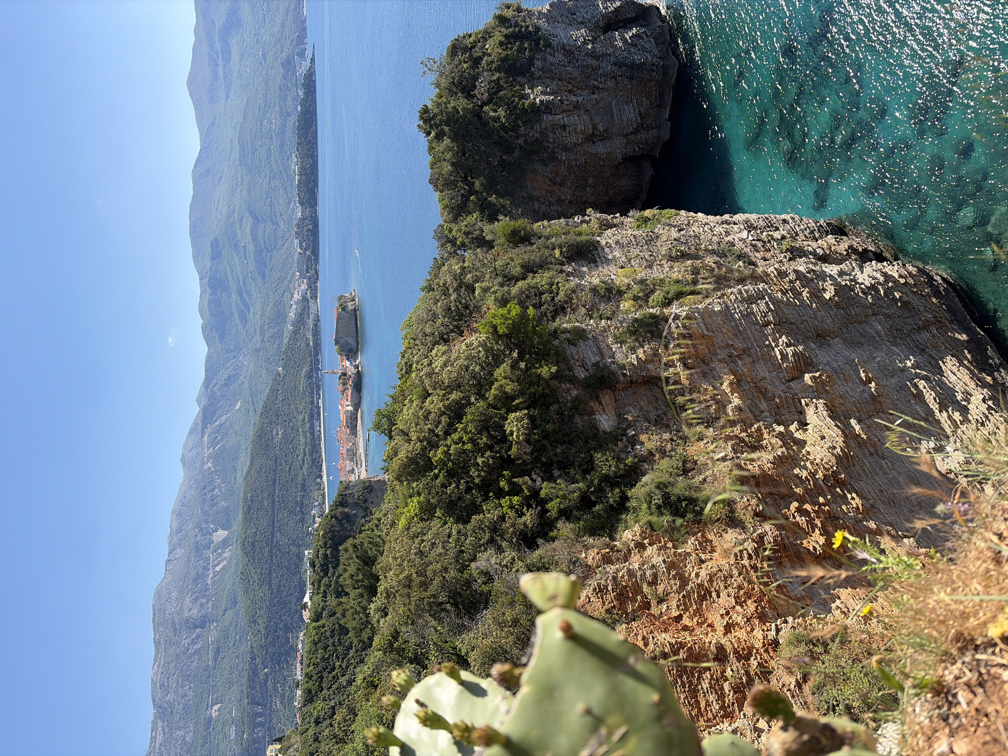 The image shows a cliffside view in Budva, Montenegro. A rocky cliff covered in vegetation drops down to the turquoise sea. In the distance, there is a coastal town nestled between the mountains and the sea. A cactus is present in the foreground.