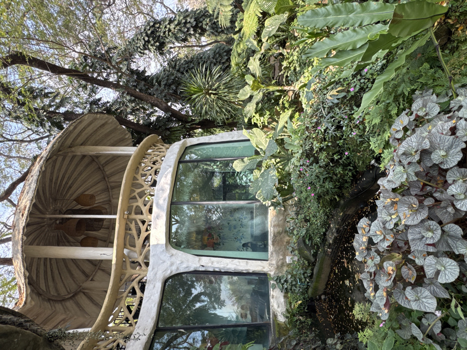 A whimsical architectural structure nestles amid lush greenery. A rounded, mushroom-like roof crowns the building, supported by tree-branch-like railings. Large windows reflect the surrounding verdant foliage. An array of plants, including ferns and speckled begonias, cascade down the side, creating a natural, immersive environment. The architecture blends seamlessly with nature.