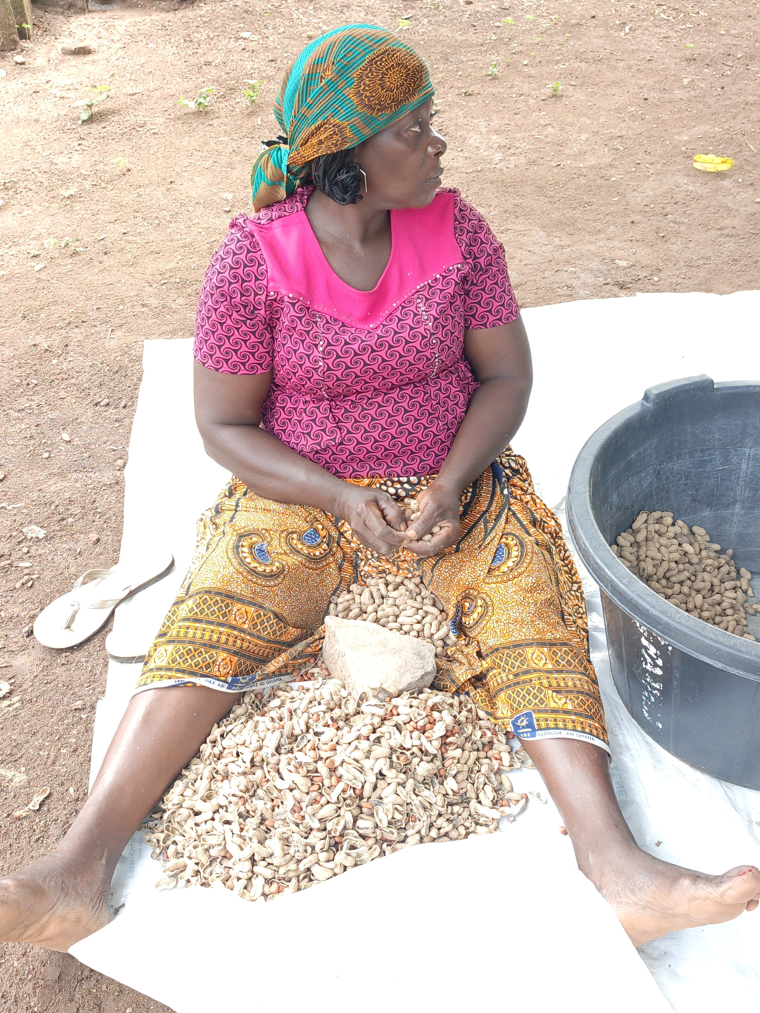 An adult, dark-skinned woman is seated on a white tarp outdoors. She is wearing a pink patterned short-sleeved shirt, a colorful orange and yellow patterned skirt, and a green and brown patterned headscarf. She is barefoot and sitting cross-legged with a large pile of peanuts in their shells in front of her. A grey rock is resting on top of the peanuts. Her hands are positioned in front of her, appearing to be sorting or shelling the peanuts. To her right is a large black plastic tub filled with more peanuts in their shells. A pair of white flip-flops sits to her left. The background is a blurry, reddish-brown dirt ground with some green vegetation. The image was captured in Akwanga, Nigeria.