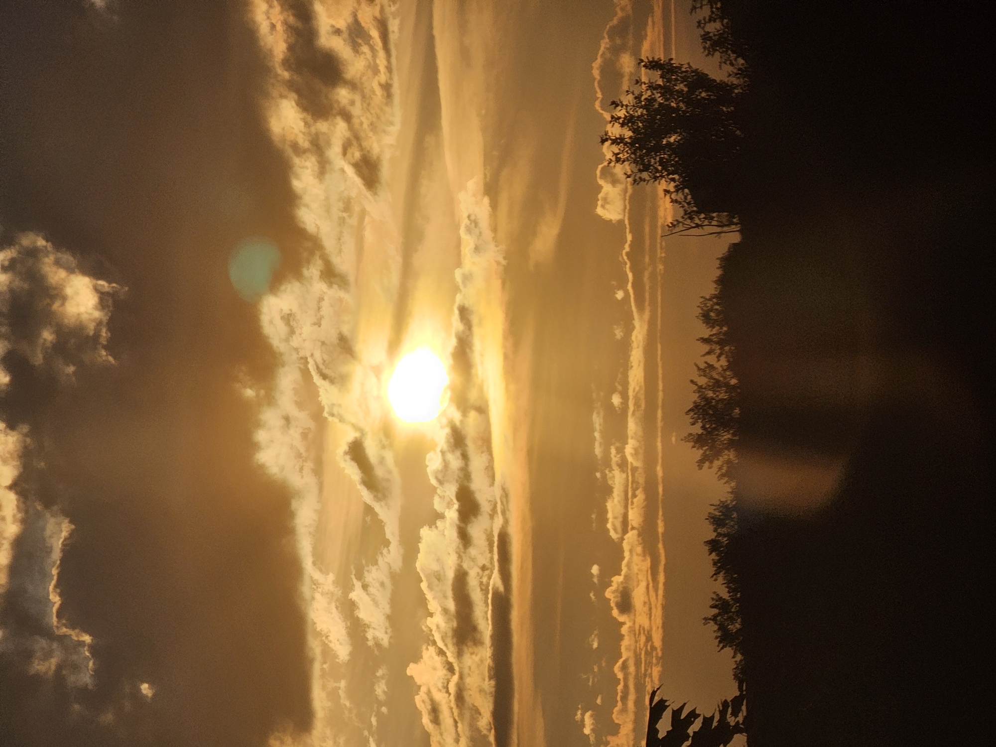 A vertical, medium-shot photograph captures a sunset over the city of Khimki, Russia. The sun, a bright white orb, is positioned in the upper center of the frame, partially obscured by golden-yellow clouds. The sky transitions from a deep, dark brown at the top to lighter shades of gold and orange near the horizon. Wispy white clouds are scattered throughout the sky, some illuminated by the setting sun. The lower portion of the image features a dark silhouette of trees and foliage against the vibrant sky. The overall impression is one of a dramatic and colorful end to the day.