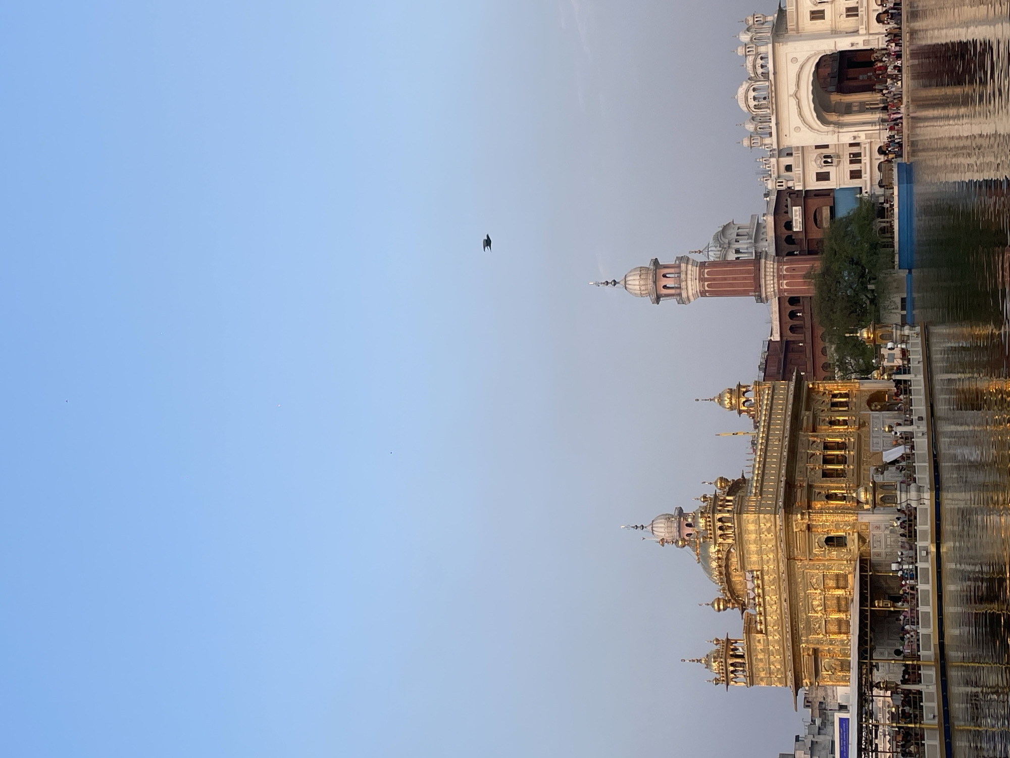 This is a photograph of the Golden Temple, also known as Harmandir Sahib, located in the city of Amritsar, India. The temple, a prominent Sikh Gurdwara, is situated in the middle of a large sarovar (pool of water) and is renowned for its gold-plated structure. The image captures the temple from a low angle, reflecting its grandeur on the calm water.
In the foreground, the water of the sarovar is visible, with ripples indicating a gentle surface. The water reflects the golden edifice of the temple, creating a mirrored image. A walkway or platform surrounds the temple, and a crowd of people can be seen gathered on it, some in traditional attire.
The central subject is the magnificent Golden Temple, a multi-storied structure adorned with intricate carvings and domes. Its entire exterior is covered in gold leaf, giving it a radiant appearance. Smaller domed structures and minarets are also visible on and around the main building.
To the right of the Golden Temple, there is a white arched gateway, known as the Darshani Deodi, which leads to the main temple complex. Beyond this, other buildings of the complex are visible, including a tall red and white striped minaret.
The sky above is a clear, pale blue, suggesting it is either early morning or late afternoon. A single bird is captured in flight in the upper right portion of the sky. The overall scene depicts a serene and spiritual atmosphere, highlighting the architectural beauty and religious significance of the Golden Temple.