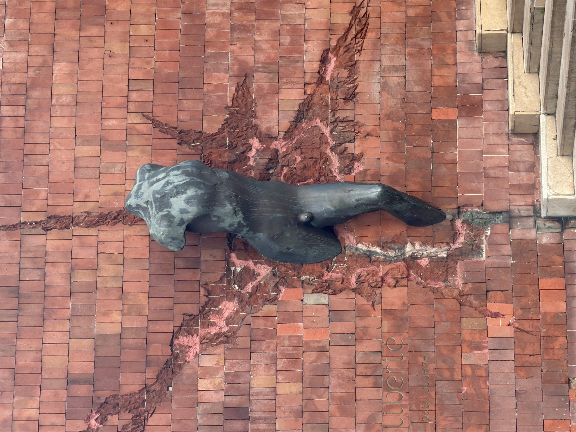 This is a medium shot, taken from a high angle, of a bronze sculpture of a human torso mounted on a brick wall in Créteil, France. The sculpture is dark and metallic, with visible anatomical details. It appears to be emerging from or attached to a rough, textured surface that breaks through the brickwork, giving the impression of the torso pushing through the wall. The brick wall itself is made of small, reddish-brown bricks arranged in a regular pattern. There are patches of pink material, possibly plaster or paint, visible on the wall where it is damaged or altered around the sculpture.
To the right of the sculpture, a section of a light-colored, structured architectural element, possibly concrete or stone, is visible, suggesting the sculpture is part of a larger building or monument. Faintly inscribed on the brickwork below and to the right of the sculpture are the words "liberté" and "paul eluard," the latter being a reference to the French poet. The lighting suggests it is daytime, with shadows indicating a bright light source, possibly sunlight. The overall impression is one of a striking public art installation, integrating a human form with the architectural environment.
