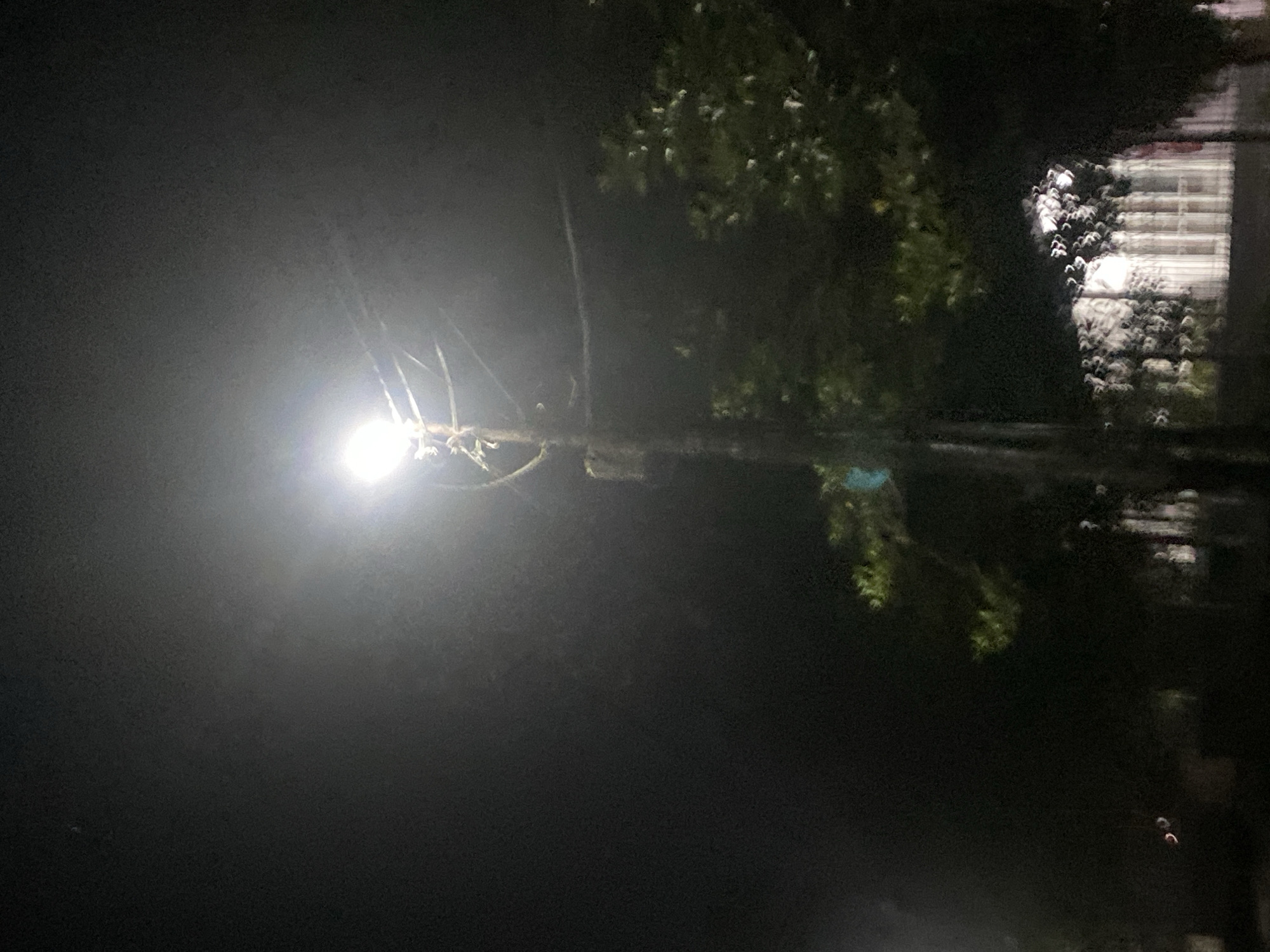 The image shows a streetlamp illuminating a dark, foggy night in Banjarbaru, Indonesia. The lamp, positioned above and to the right of center, casts a bright glow that obscures details in the surrounding area. Branches and foliage from nearby trees are visible, interspersed with the light and fog. The ground is dark and indistinct, with hints of a paved surface. In the background, blurred shapes suggest buildings or structures, also partially obscured by the low visibility. The overall atmosphere is one of a quiet, possibly deserted, urban setting under poor lighting conditions.