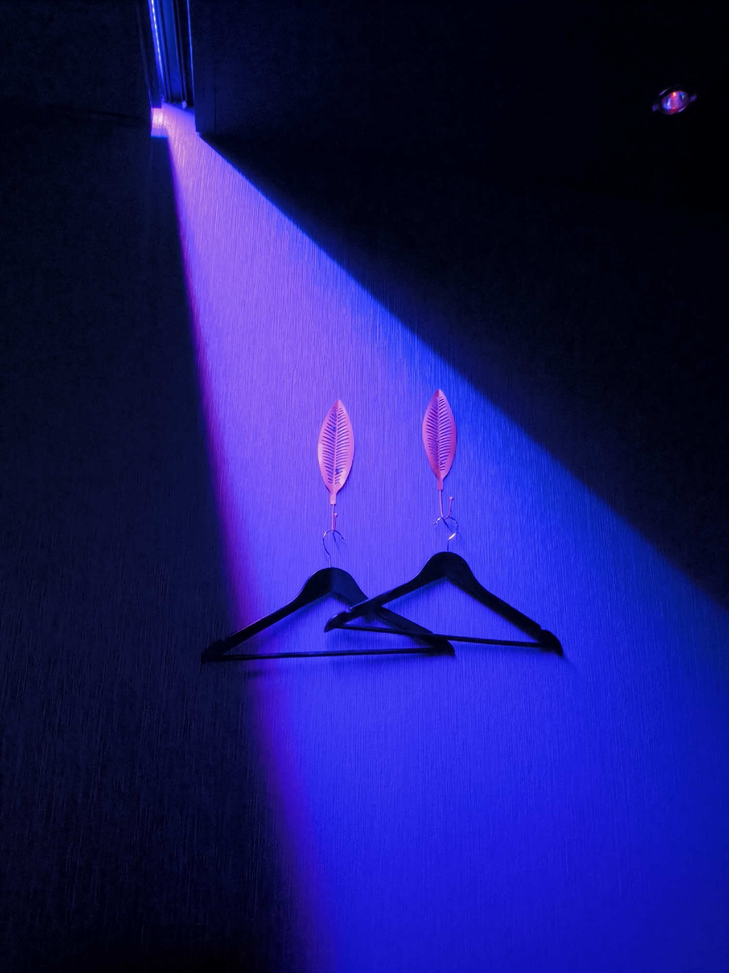 Two black clothes hangers hang on a textured wall in a dimly lit room. The wall is illuminated by a beam of light, which is purple at the top and transitions to blue towards the bottom. Above each hanger, a pink decorative leaf hangs from a hook. The source of the light beam is from the top left of the image, near a metal strip on the ceiling. In the top right corner, there is a small, circular red light. There is no indication of this image being taken in Moscow, Russia.
