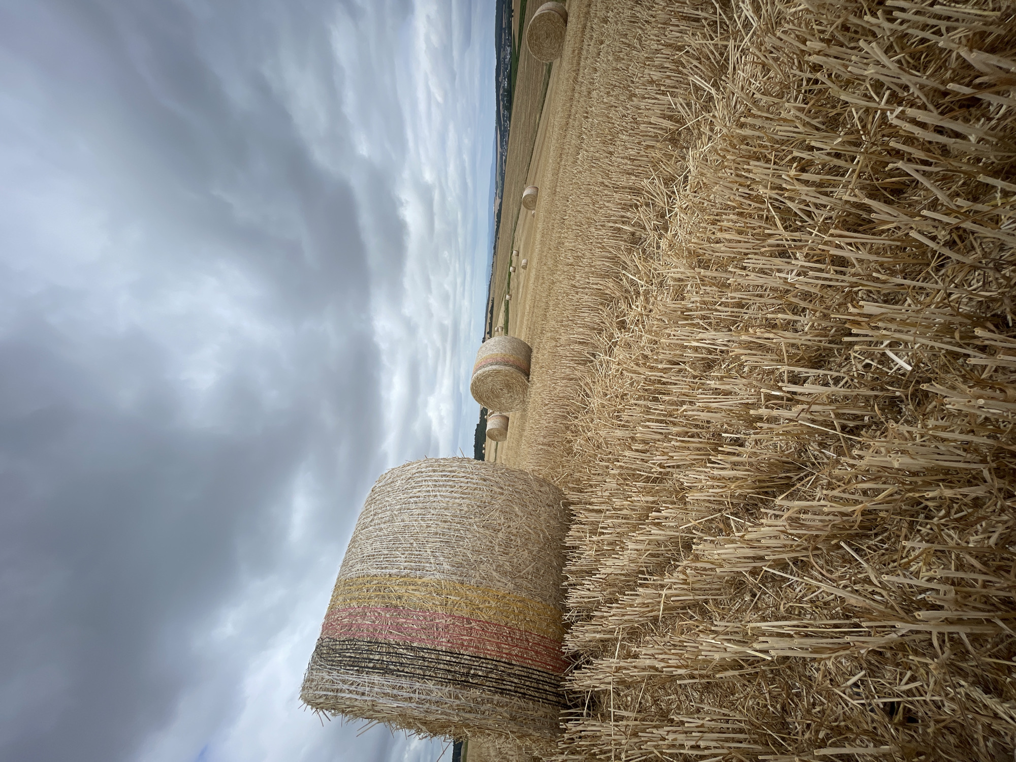 The image shows a field of harvested wheat with numerous round hay bales scattered across the landscape under a cloudy sky. In the foreground, a large hay bale with distinct colored bands of black, red, and yellow is prominently displayed, positioned on a bed of cut wheat stalks. The field slopes gently towards the horizon, where a distant town or village can be seen nestled amongst rolling hills. The overall impression is one of rural harvest in a temperate climate, possibly in the region of Asterode, Germany, given the characteristic landscape and agricultural activity. There are no people or animals visible in the scene.