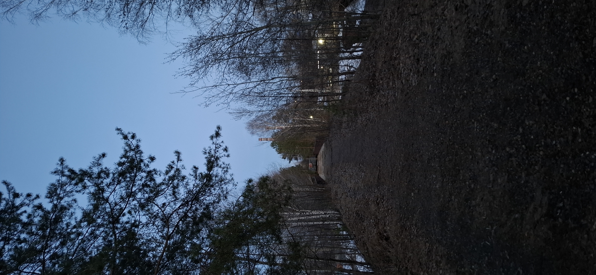The image shows a path in a park in Chaikovsky, Russia. The path is gravel and dirt. Trees line both sides of the path. In the distance, a brick chimney and other buildings are visible, as well as street lights. The sky is a light blue colour. The time of day is early evening or twilight.