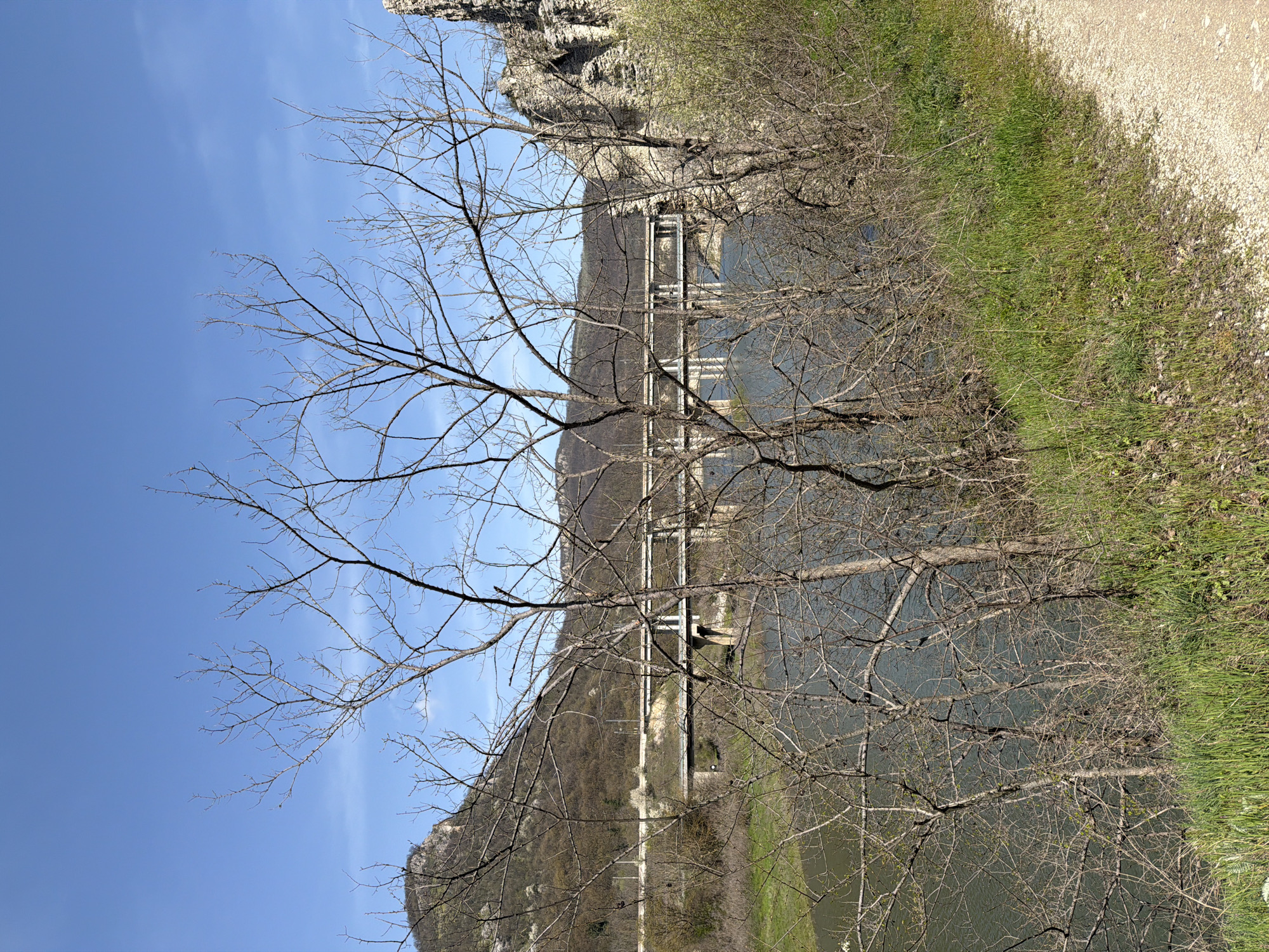 The image depicts a natural scene near Asparuhovo, Bulgaria, potentially along the Iskar River gorge, viewed through leafless trees. In the background is a steel arch bridge spanning the water. The river appears dark. Beyond the river rises a rocky, mountainous landscape. The immediate foreground is marked by green grass on the right edge, a light dirt path, and barren trees in the center. The sky is light blue.
