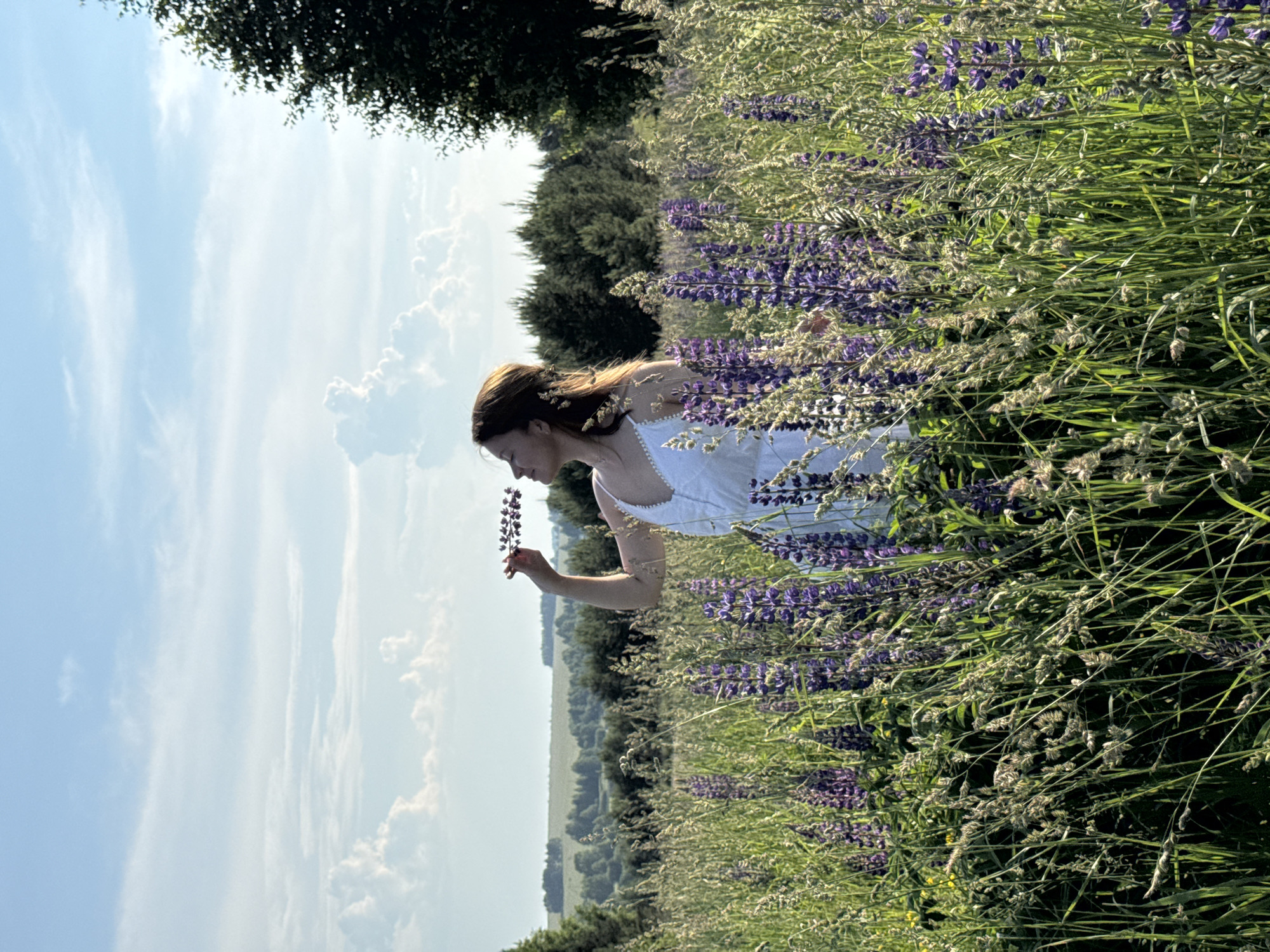 The image captures a young woman standing in a field of tall grass and purple lupine flowers under a bright, partly cloudy sky. She is wearing a white dress and holding a sprig of flowers up to her face, appearing to inhale its scent. The background shows a gentle, rolling landscape with trees and fields, suggesting a rural setting outside of Van'ki, Russia. The lighting indicates it is daytime, likely late afternoon given the warm glow on the woman's face.