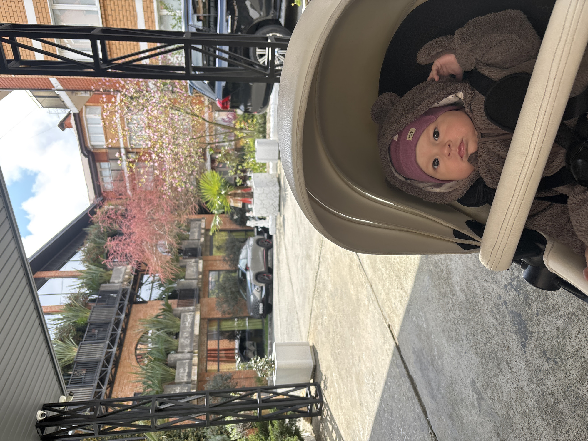 A baby wearing a brown fuzzy bear suit and a purple beanie is sitting in a beige stroller. The stroller is on a concrete surface. In the background, there are buildings with trees and greenery. A metal structure is visible on the left. Based on architectural style and vegetation, the location appears to be in Sochi, Russia.