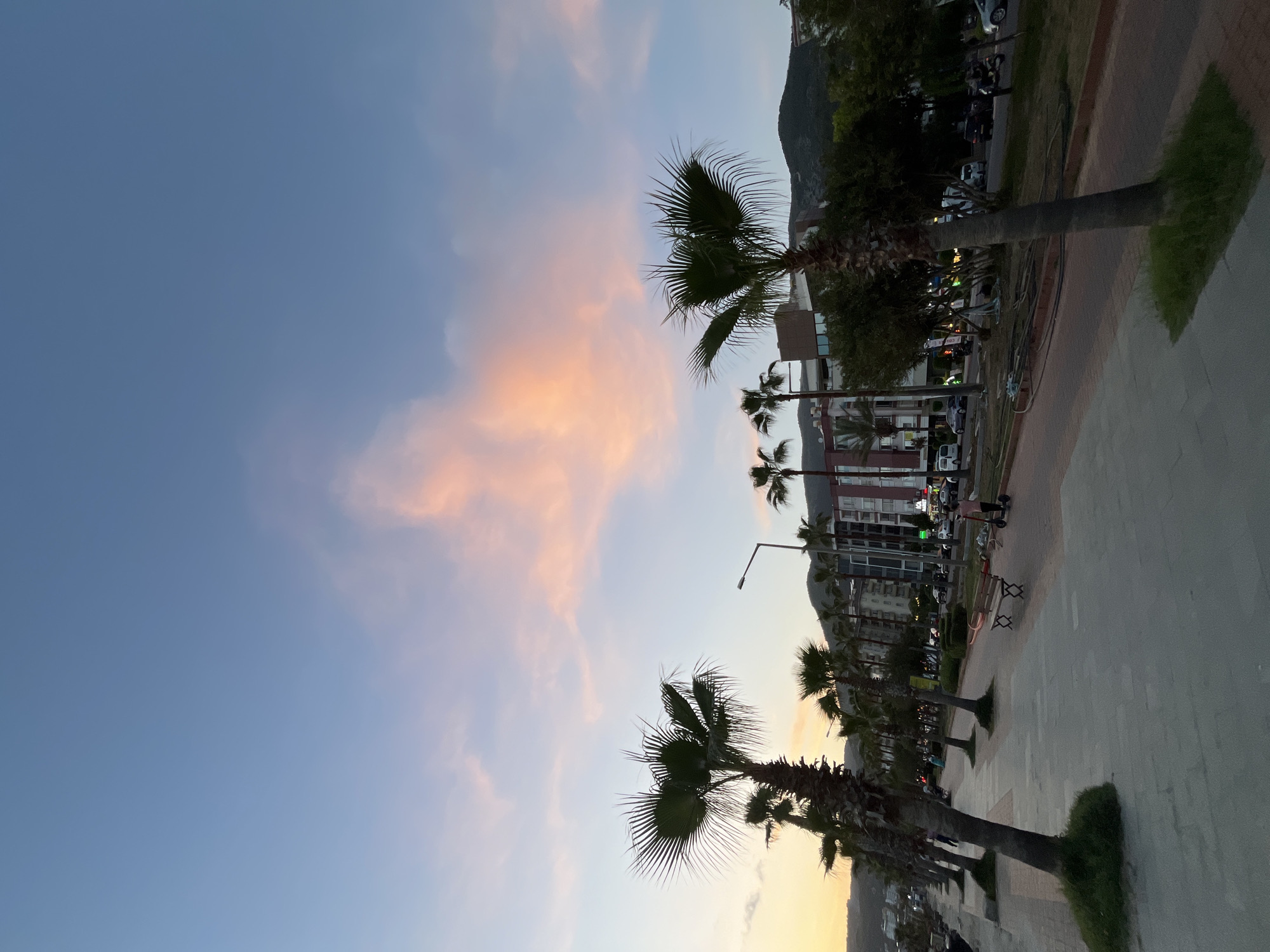 The image shows a street scene in Alanya, Turkey, during a sunset. The sky is a mix of blue and pink hues. Palm trees line the street, and several buildings are visible in the background, including an apartment building. Cars are parked along the street. People can be seen walking and sitting on benches along the sidewalk. A lamppost illuminates the scene.