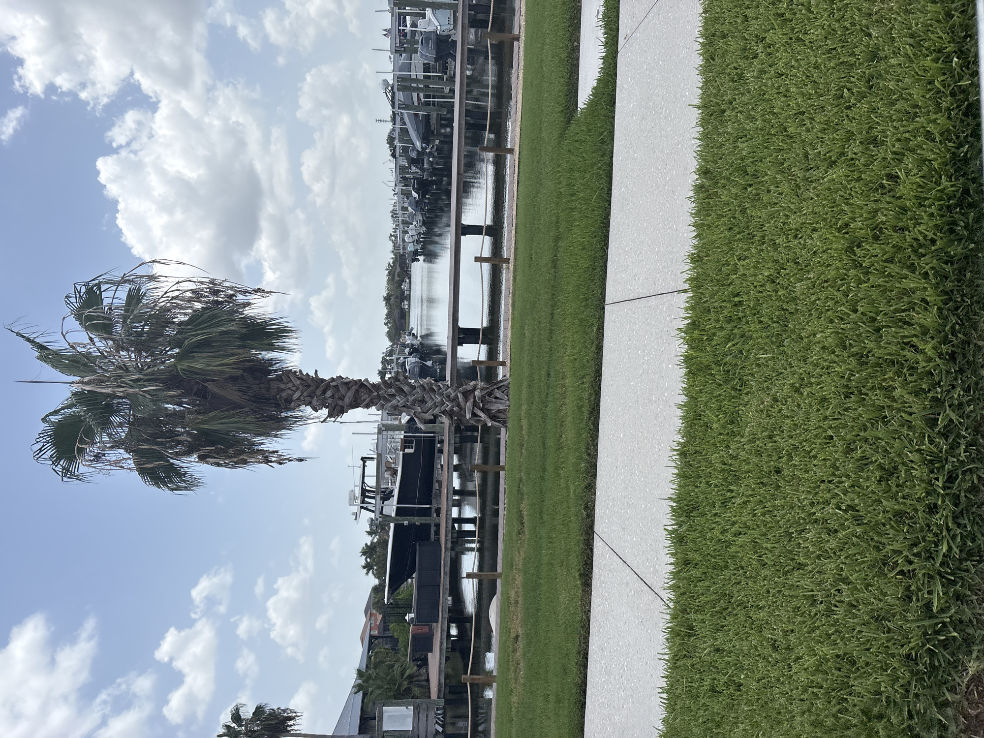 The image depicts a canal lined with boats in a residential area. A large palm tree stands prominently in the foreground, obscuring part of the view. The canal is bordered by a wooden dock and a rope fence. Beyond the dock, a row of houses is visible, with lush green grass and a paved walkway in the immediate foreground. The sky is partly cloudy. This scene is consistent with the waterfront neighborhoods found in Bradenton, Florida, United States of America, which are characterized by canals, marinas, and tropical vegetation.