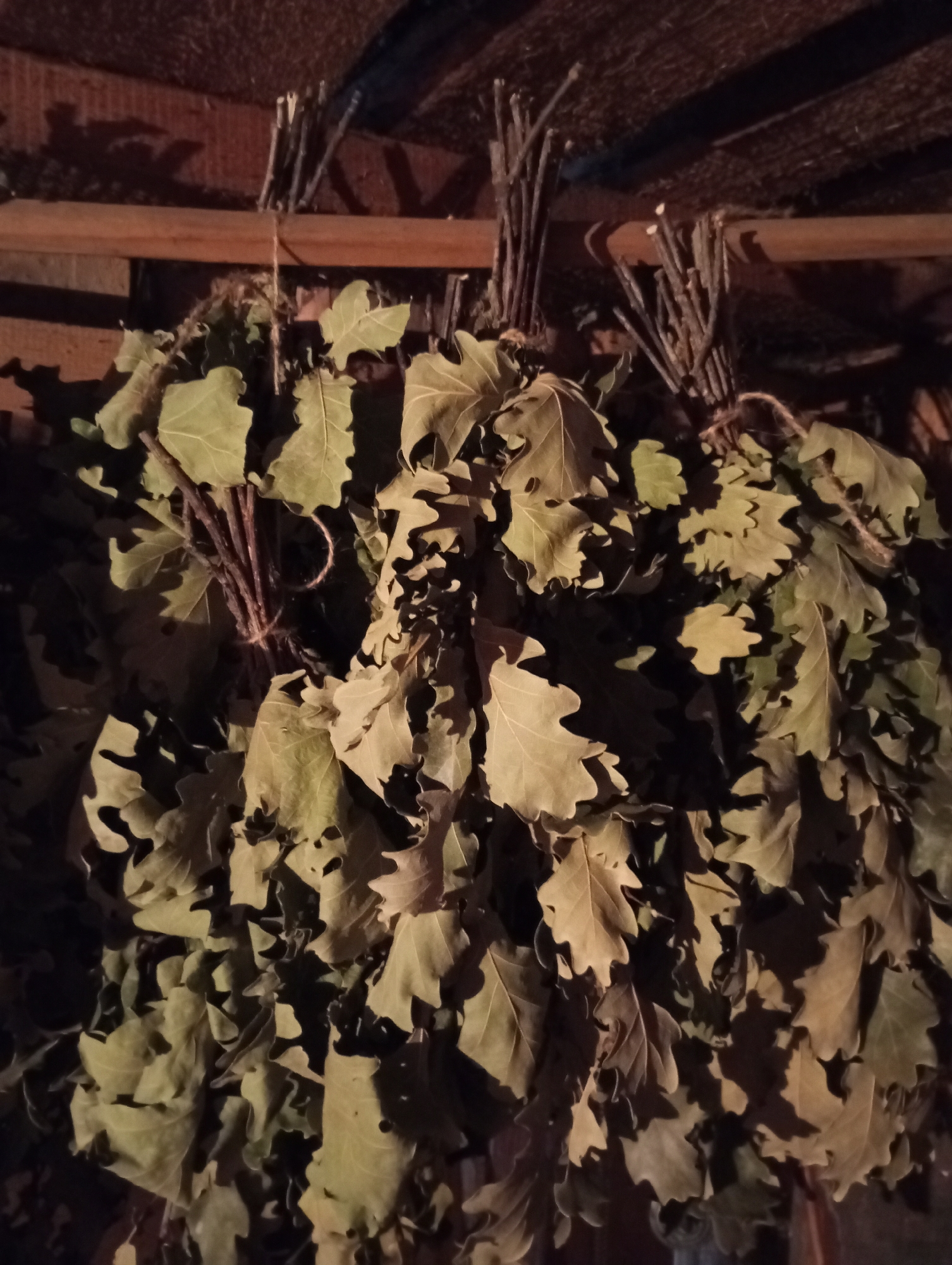 Bundles of dried oak leaves, possibly bath brooms, hang from a wooden rack within an enclosure, possibly a sauna or storage area. The location is unspecified but identified as Буренка, Russia. No people are visible. The light is dim.