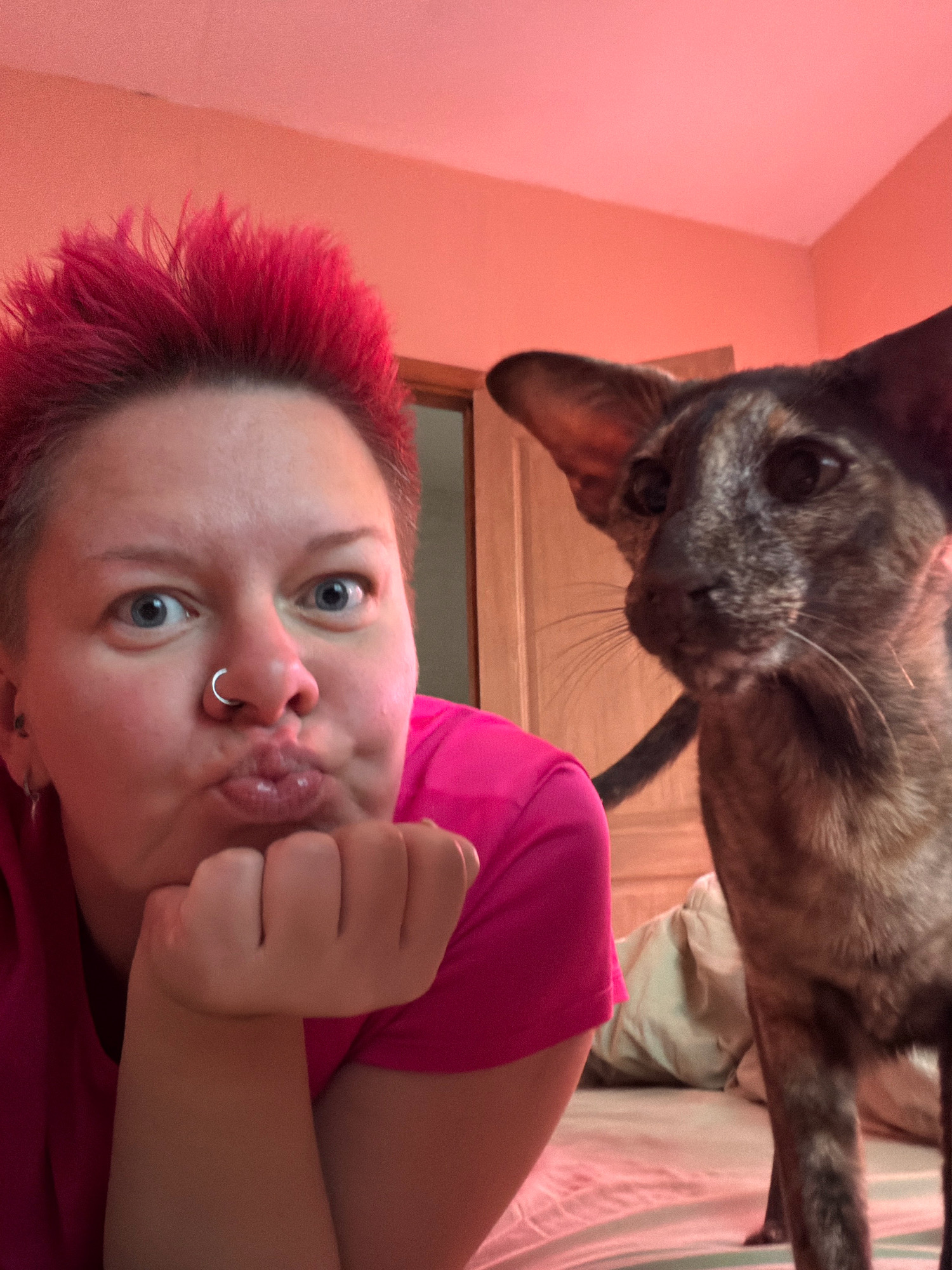 The image shows a close-up, indoor selfie taken in what appears to be a bedroom in Chaikovsky, Russia. A person with short, bright pink spiky hair and blue eyes is in the foreground, making a kissing face with their chin resting on their hand. They are wearing a bright pink t-shirt and a silver nose ring. Next to them, slightly out of focus and further back, is a cat with distinctive brindle-patterned fur and large ears. The background consists of a peach-colored wall, a doorframe, and a bed with striped bedding. The lighting is warm, likely from artificial sources, casting a pinkish hue over the scene.