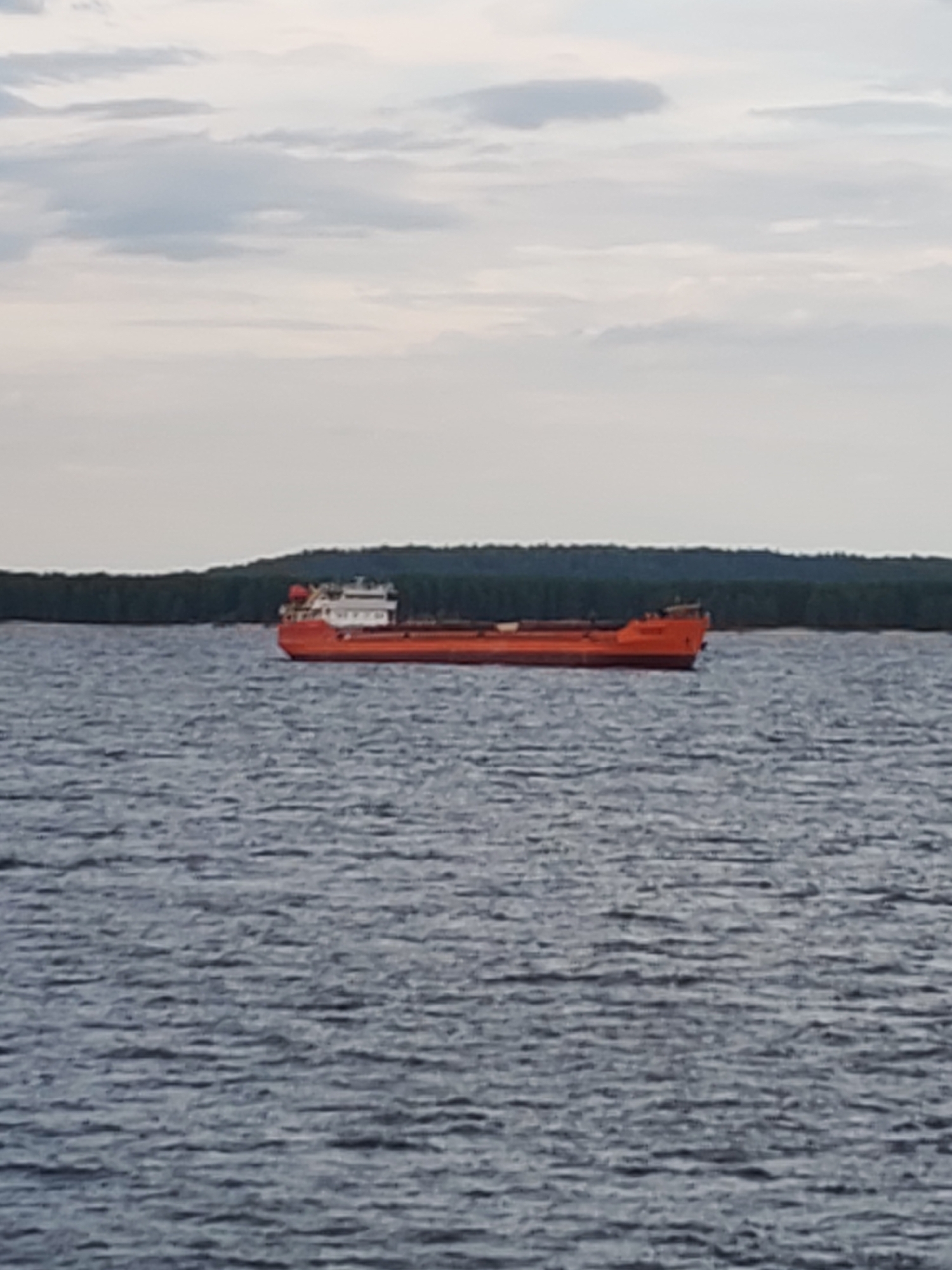 An orange cargo ship is sailing on a body of water, likely the Volga River, near Shal'skii, Russia. The ship has a white superstructure at the stern and a long, open deck. A dense green forest lines the horizon behind the ship. The water is choppy, reflecting a cloudy, pale sky. There are no people visible in the image.