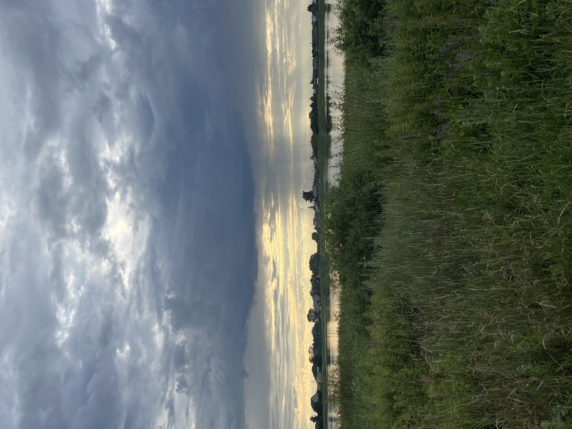 This vertical landscape photo depicts a serene rural scene in Pivkino, Russia, likely taken during a late afternoon or early evening given the soft, diffused light. The image is divided into three distinct horizontal bands. The left third is dominated by a dramatic sky filled with heavy, dark grey storm clouds. These clouds are partially broken by streaks of bright, ethereal yellow and white light, suggesting the sun is setting or has just risen behind them, creating a dramatic contrast between light and shadow.
The middle third of the image reveals a tranquil body of water, reflecting the sky and the distant treeline. Along the far bank of the water, a line of small houses and trees forms a picturesque village silhouette. The reflection on the water is calm, indicating minimal wind.
The right third of the image showcases a dense, overgrown embankment of tall green grass and wildflowers. The vegetation is lush and appears to be wild, with some plants bearing small purple flowers. The overall mood of the image is one of peaceful, natural beauty, with a hint of dramatic weather approaching from the left. There is no visible text in the image.