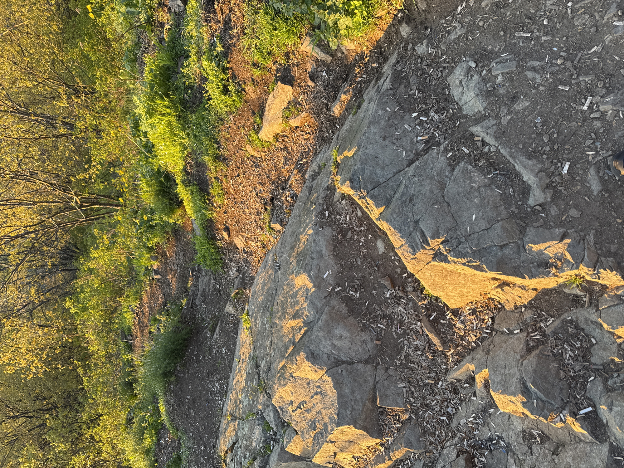 An eye-level photograph captures a landscape in Sofia, Bulgaria, specifically focusing on a rocky precipice overlooking greenery. The right side of the frame consists of a grey rock face covered in discarded cigarette butts. Light, likely from the setting sun, washes across the rocks, creating shadows and highlights. To the left of the rocks is a descent into a grassy area and thin trees, also partially illuminated by sunlight. The background shows a progression from dirt to vegetation.