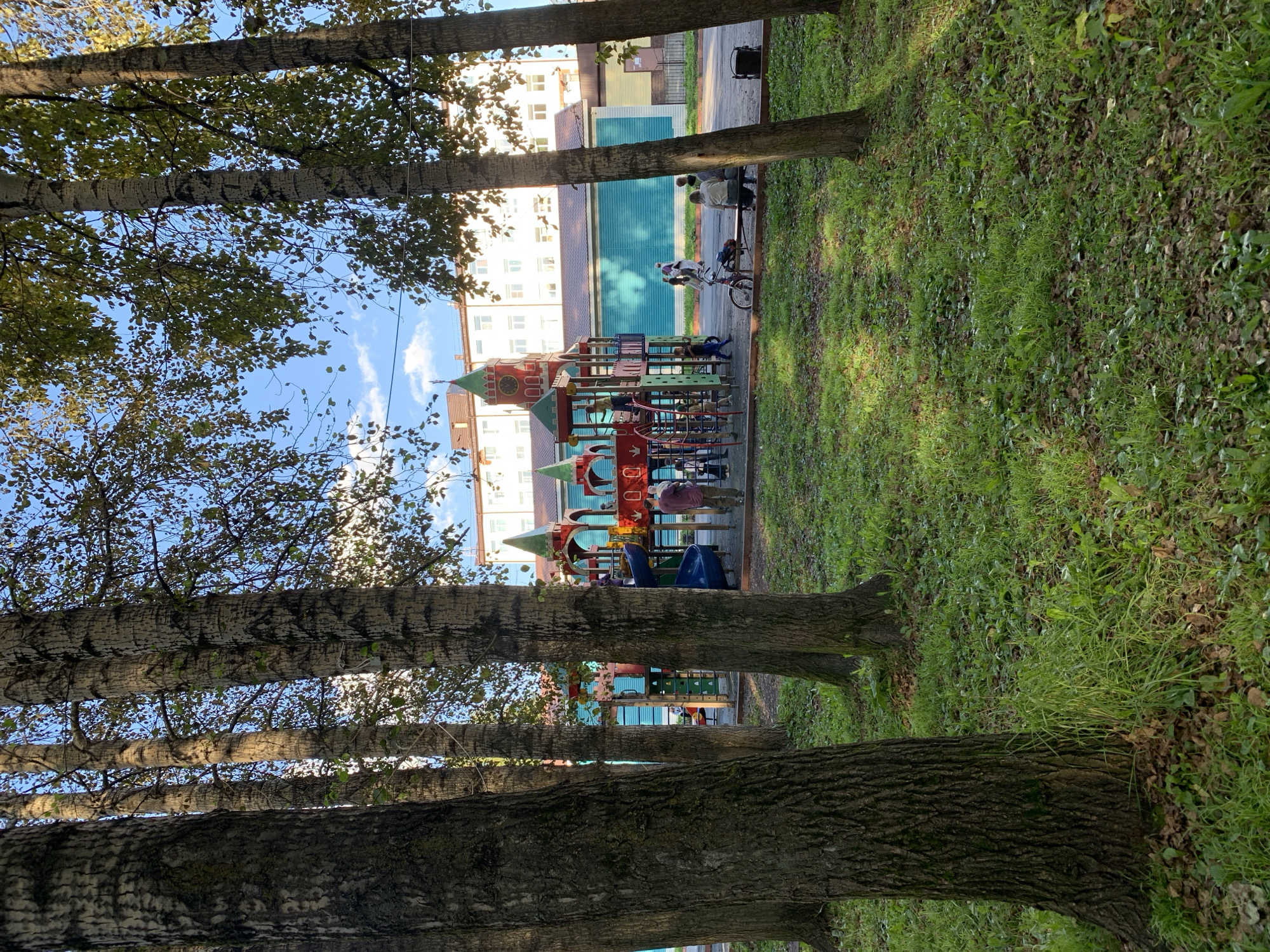 The image depicts a playground scene in Prokopyevsk, Russia, bathed in the dappled sunlight of a late afternoon. Tall, mature trees with textured bark dominate the foreground, their branches creating a natural canopy overhead, with leaves showing the subtle hints of autumn. The ground is covered in lush green grass interspersed with fallen leaves and patches of brown earth.
In the middle ground, a vibrant, multi-colored playground structure is visible, resembling a castle with turrets, slides, and climbing frames. Several children and adults are present around the playground. One child, wearing a blue shirt and dark pants, is running towards the playground. Another child, dressed in a dark blue outfit, appears to be climbing on the structure. A person in a maroon shirt and tan pants stands near the playground, holding a baby. Further back, a group of people, including children and adults, are gathered near a bicycle parked on the pavement. Two adults are seated on a bench, while a third person stands behind them. A bicycle with a basket is positioned on the ground near the bench.
Behind the playground, a long, two-story building is visible. The lower part of the building is painted a dark teal, while the upper floors are a light cream color with numerous windows. A reddish-brown tiled roof caps the building, and on the left side of the building, a tall, slender structure with a green turret and a clock face can be seen, possibly part of the playground's design or an adjacent structure. The sky above is a clear, bright blue with a few wispy clouds. The overall impression is of a typical urban park or schoolyard on a pleasant day.