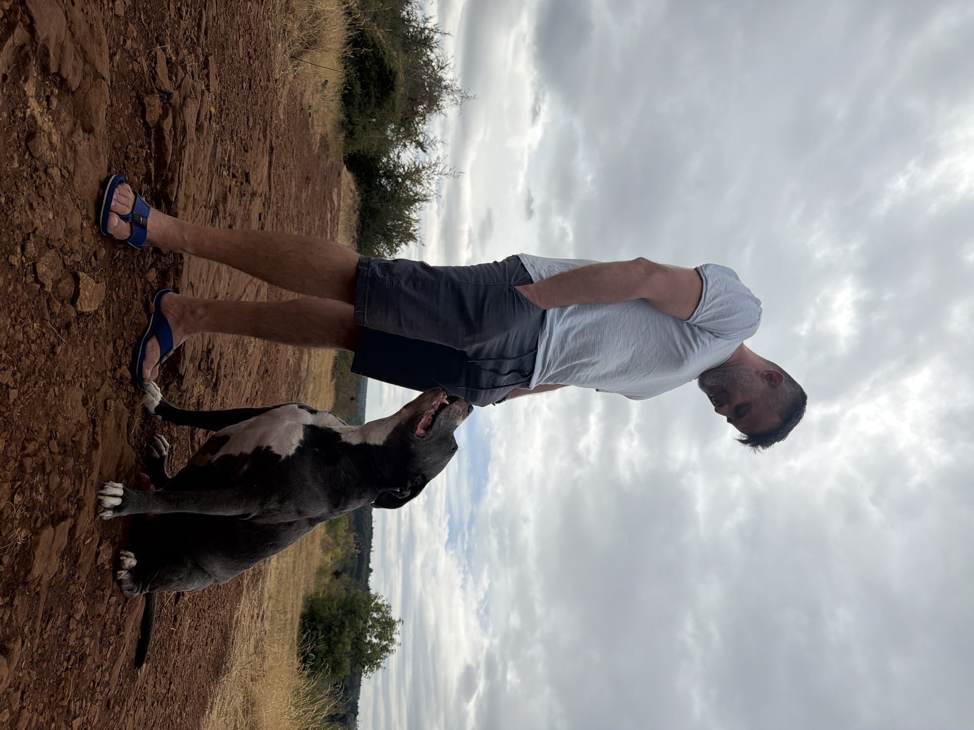 A man with short, dark hair and stubble stands on a dirt path with his hands in his pockets, looking down at a dark grey and white pit bull. The dog is sitting and looking up at the man with its mouth open. The path is surrounded by dry grass and a few trees. The sky is overcast. The scene is likely a park or hiking trail. The image does not provide any specific details that would allow for its localization to Schifflange, Luxembourg.