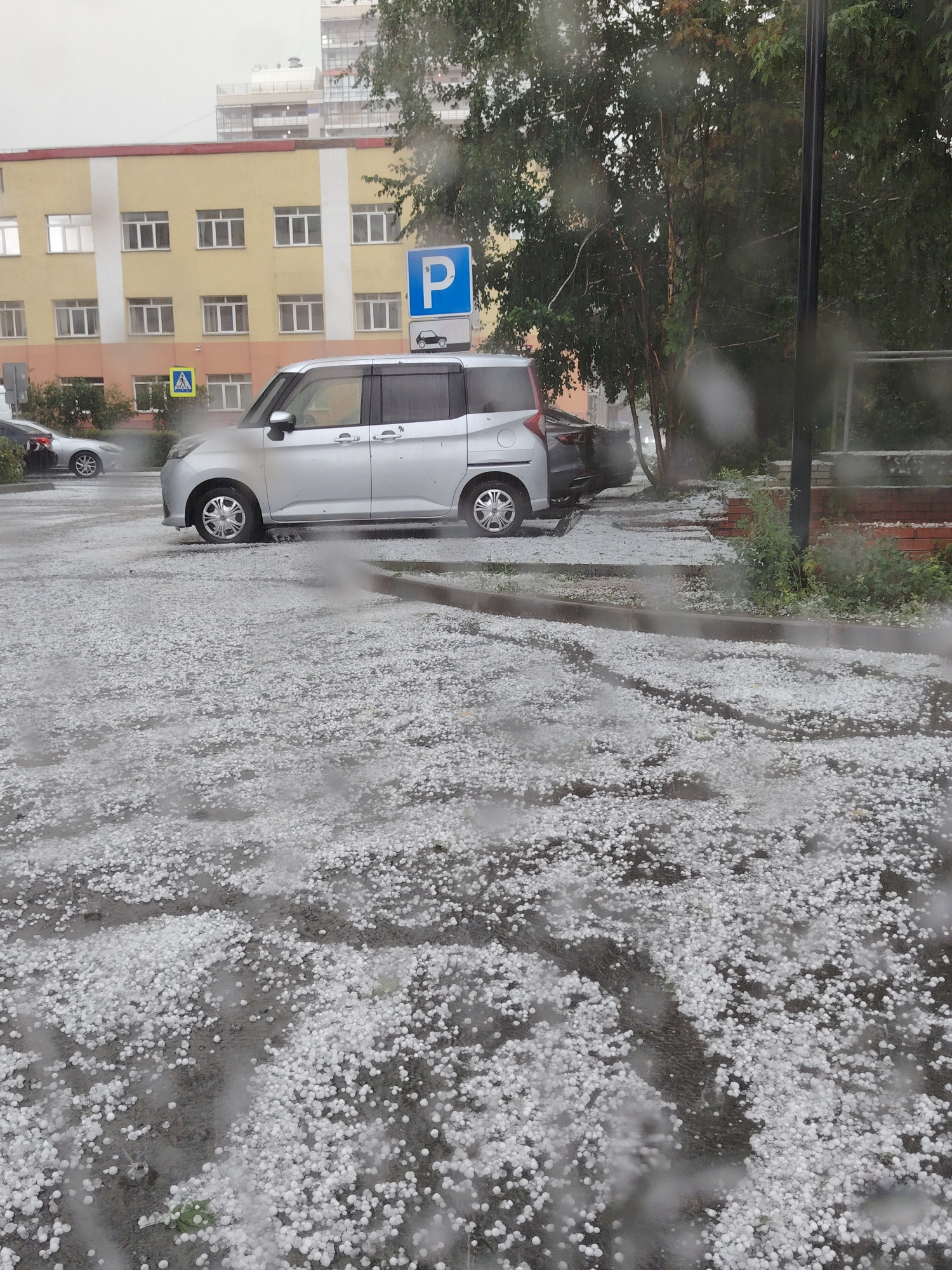 The image depicts a street scene in Novosibirsk, Russia, during a hailstorm. The ground is covered in a thick layer of hailstones, indicating a severe weather event. A silver minivan is parked on the left side of the frame, with its doors closed and no occupants visible. A dark-colored car is parked behind it, also appearing unoccupied.
In the background, a multi-story building with yellow and orange facades stands out. A blue parking sign with a white 'P' is visible on a pole near the building, along with a smaller sign depicting a car. Adjacent to this is a pedestrian crossing sign. Trees with green foliage are scattered throughout the scene, some of them appearing wet from the precipitation. The sky is overcast, contributing to the overall gray and somber atmosphere. The presence of hailstones and the wet conditions suggest recent or ongoing precipitation.