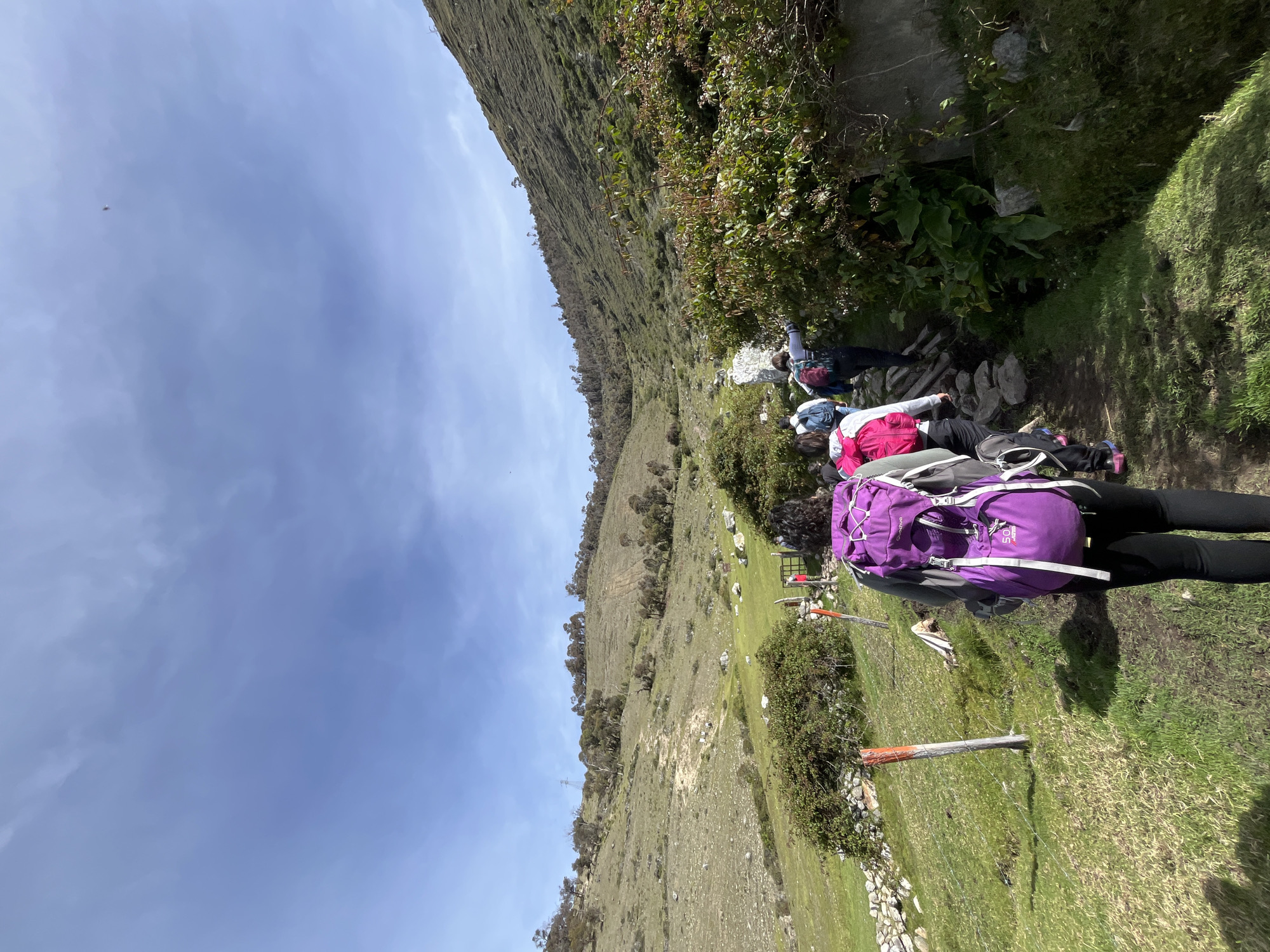 A group of hikers walks along a rocky path on a grassy hillside. The person in the foreground, seen from behind, wears a purple backpack and black pants. The path is lined with green bushes and vegetation, with a stone wall to the left. In the distance, the hillside is covered in grass and scattered trees, with a clear blue sky overhead. The scene appears to be in a rural, mountainous area, consistent with the landscape of Mucuchíes, Venezuela.